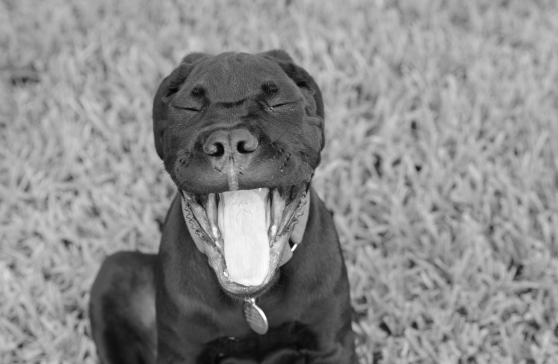 Screen Shot 2013-08-27 at 7.50.45 PM.png