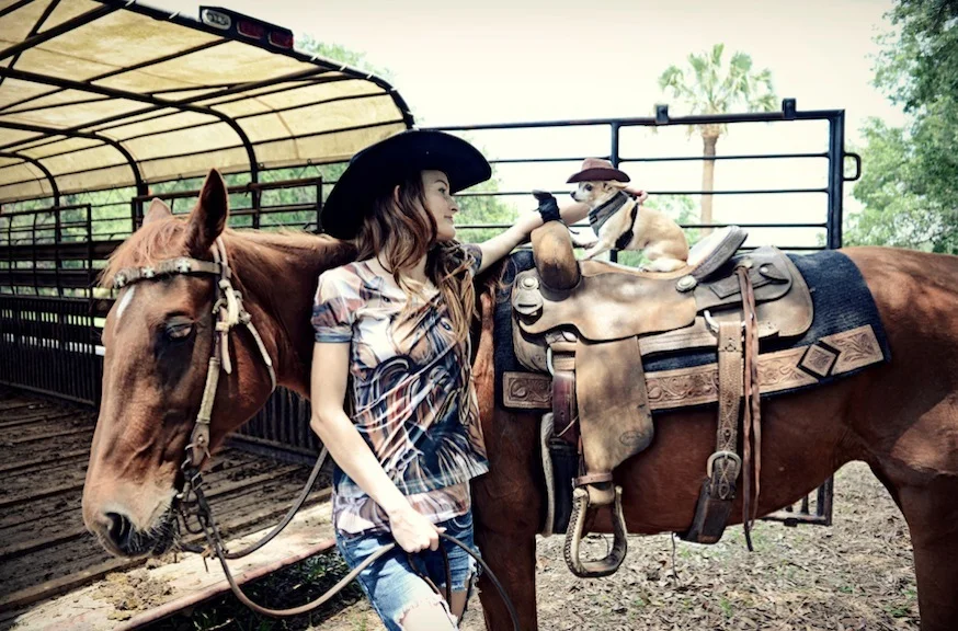 Chihuahua on horse Jane Shirek.jpg