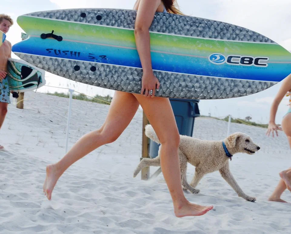 Beach Life