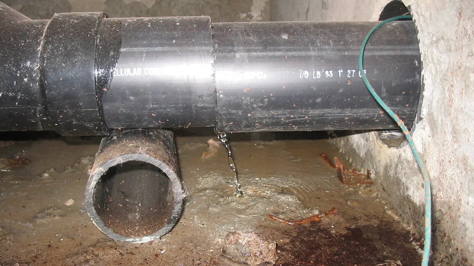 Copy of 487_8748.JPG