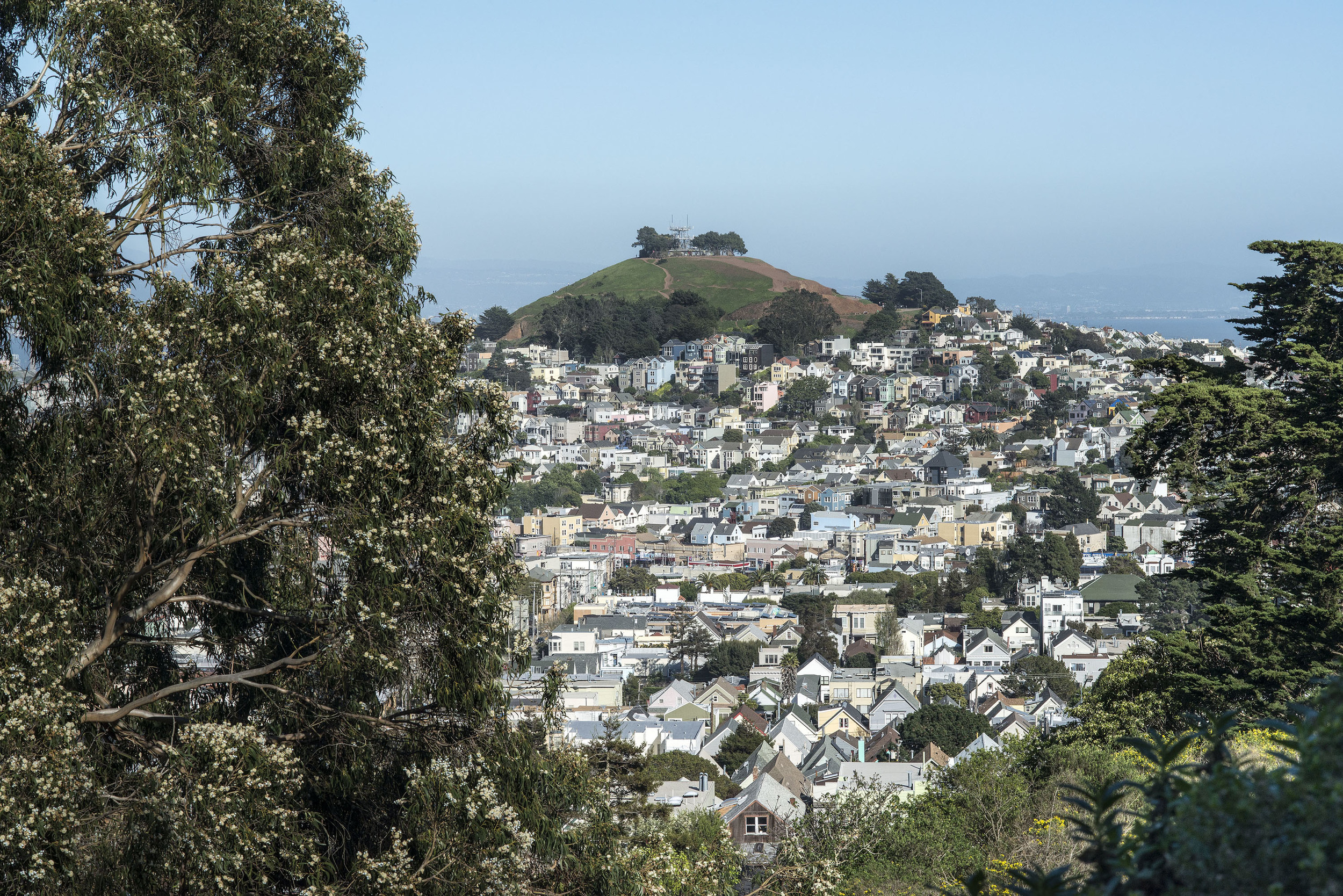 _IDS4721_bernal.jpg