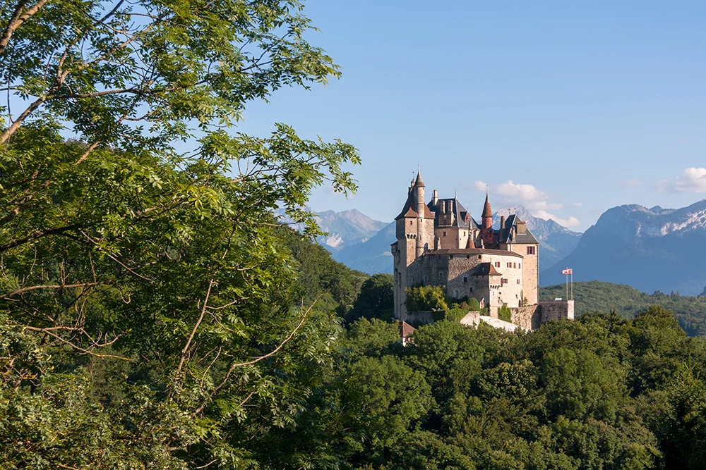 080709_VELEFF_51855.jpg