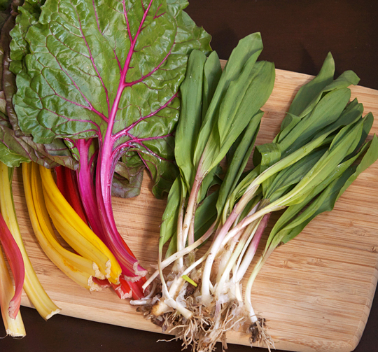 ramp-swiss-chard-dumplings-4
