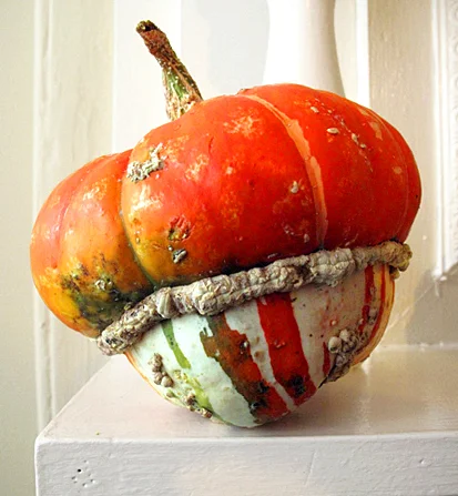 pumpkins-1_0.jpg