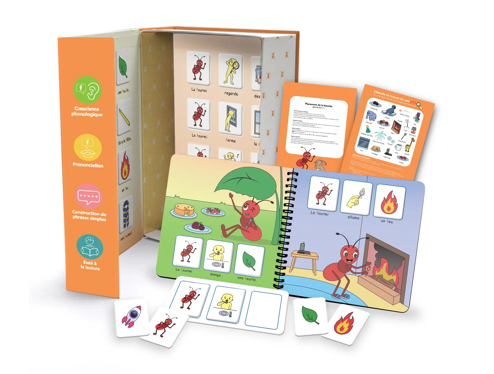 Fourmi Box Setup_Mockup.jpg