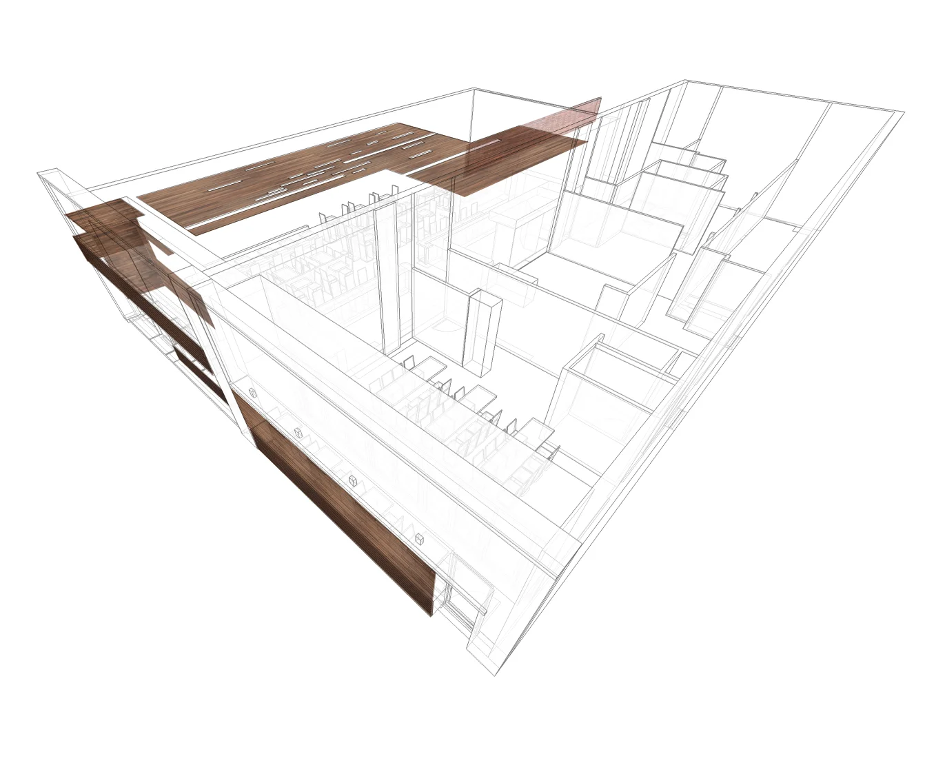 080414_selden_cedar axon.jpg