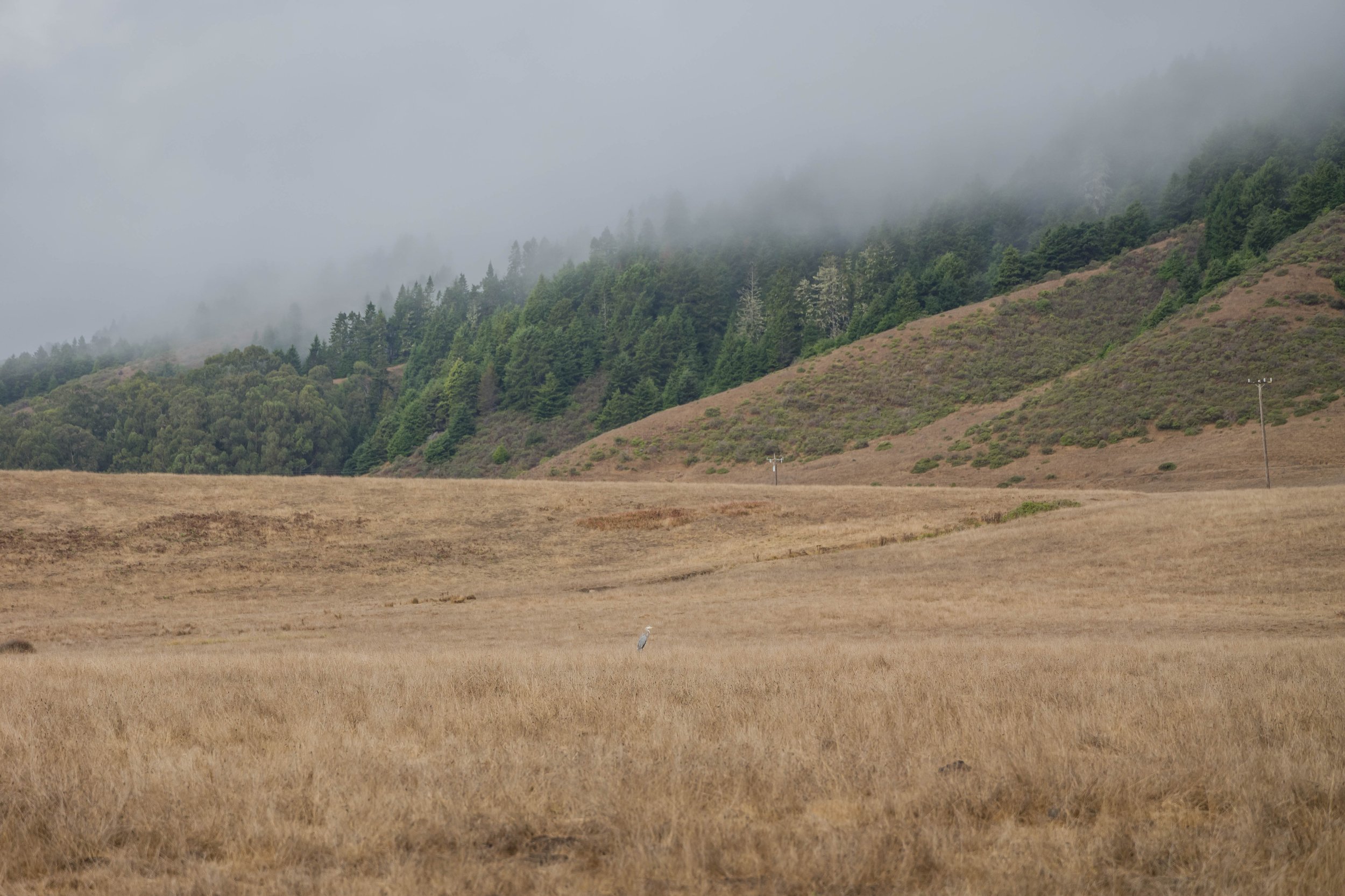 Fort Bragg, CA - Robbie Gene PhotographyL1030566.jpg