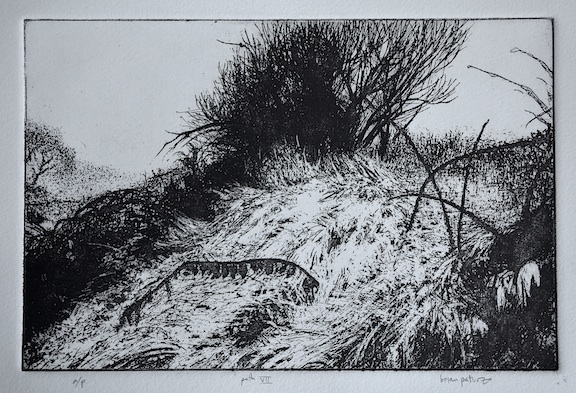 path VII