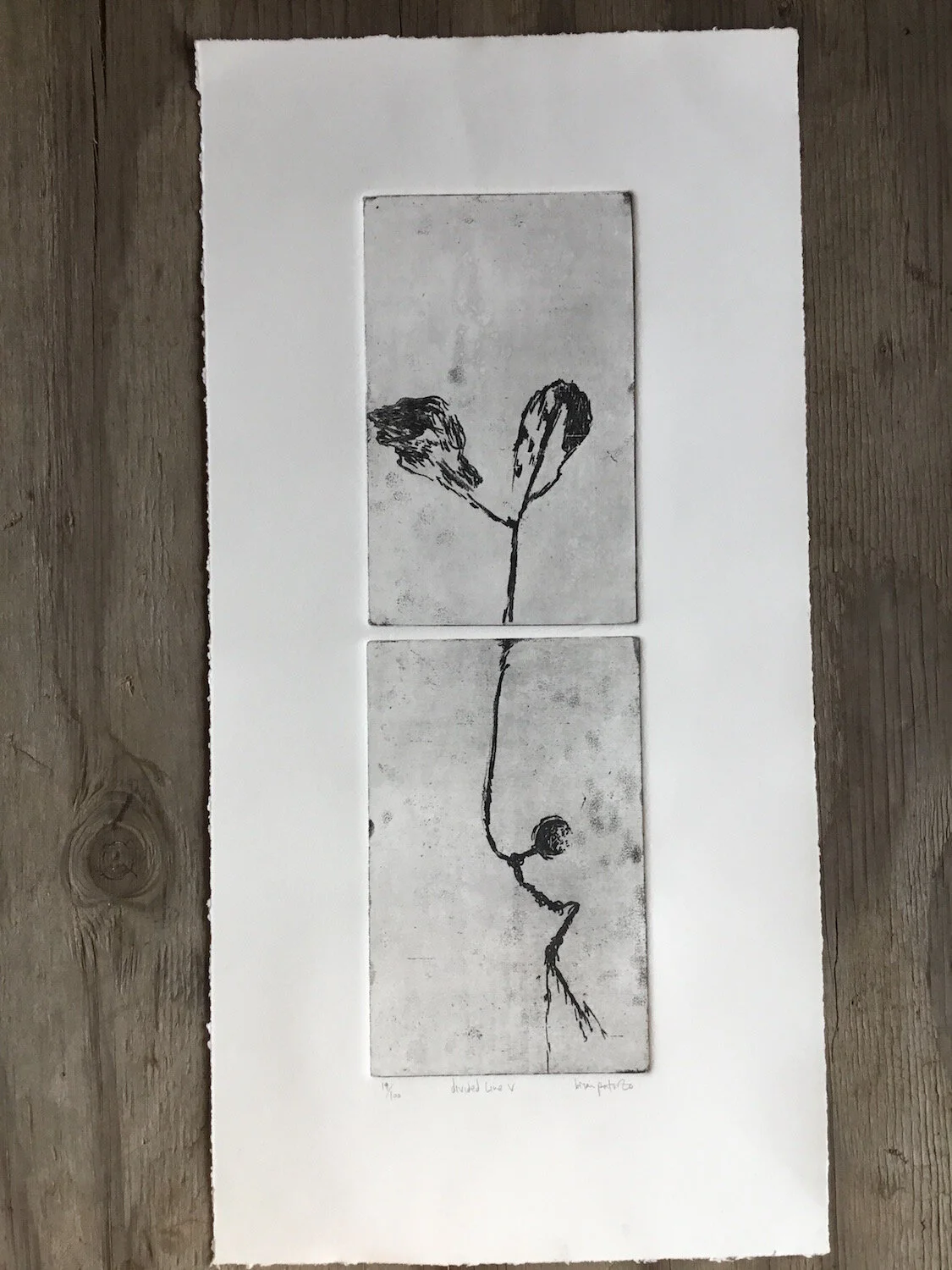 Divided Line V - 19 of 100 - intaglio dry and soft ground etching diptych - Paturzo 