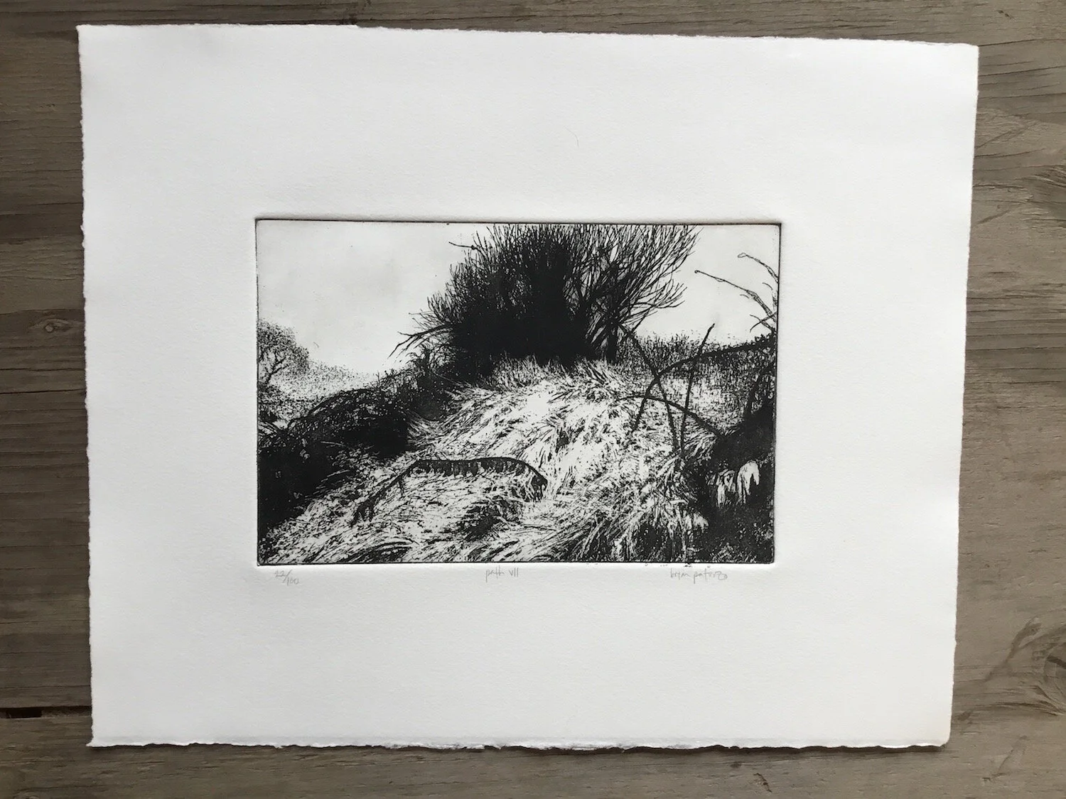 Path VI - 22 of 100 - intaglio drypoint hard ground etching printmaking - Paturzo