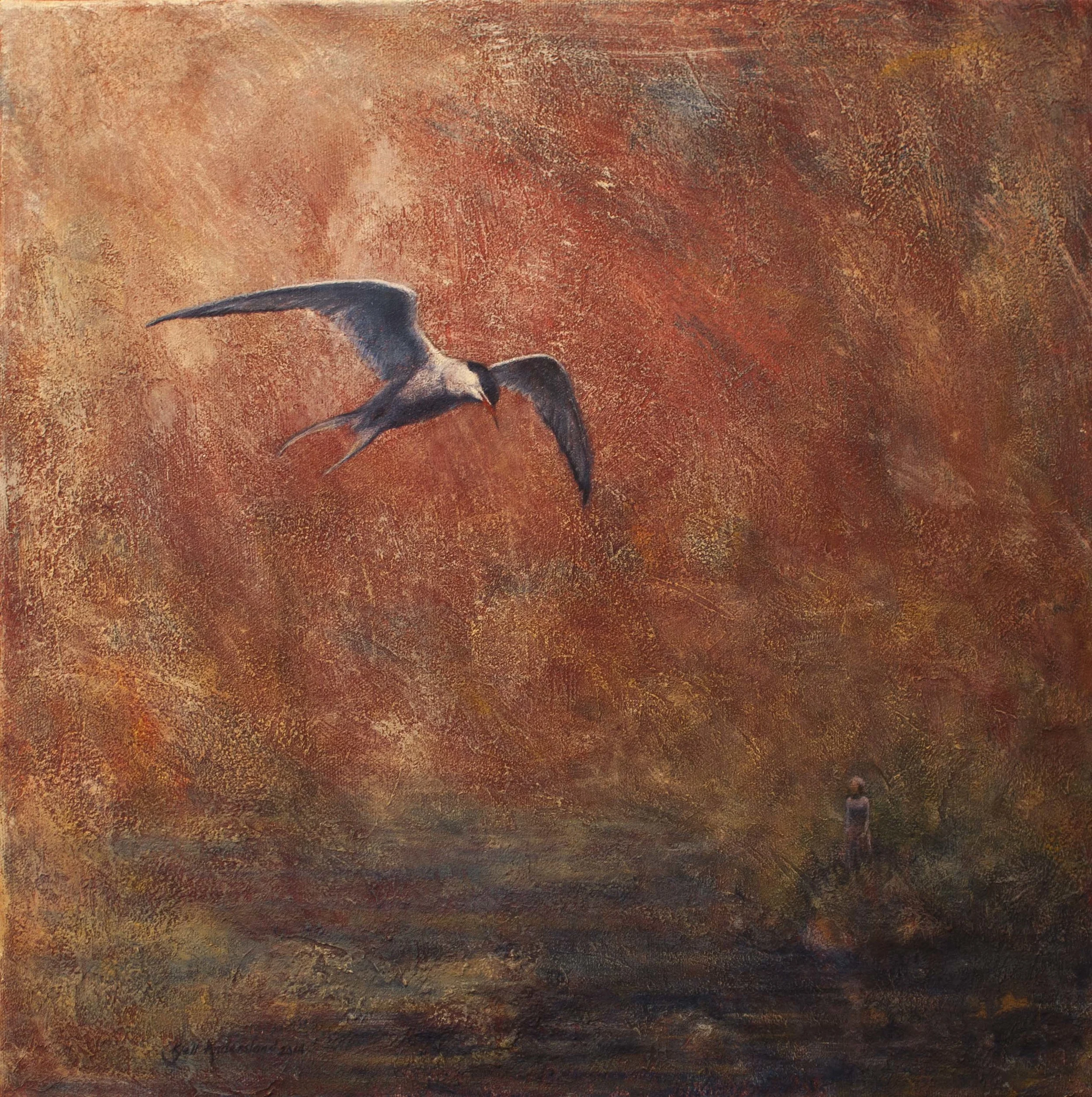  Tern / Terne  40x40 cm 