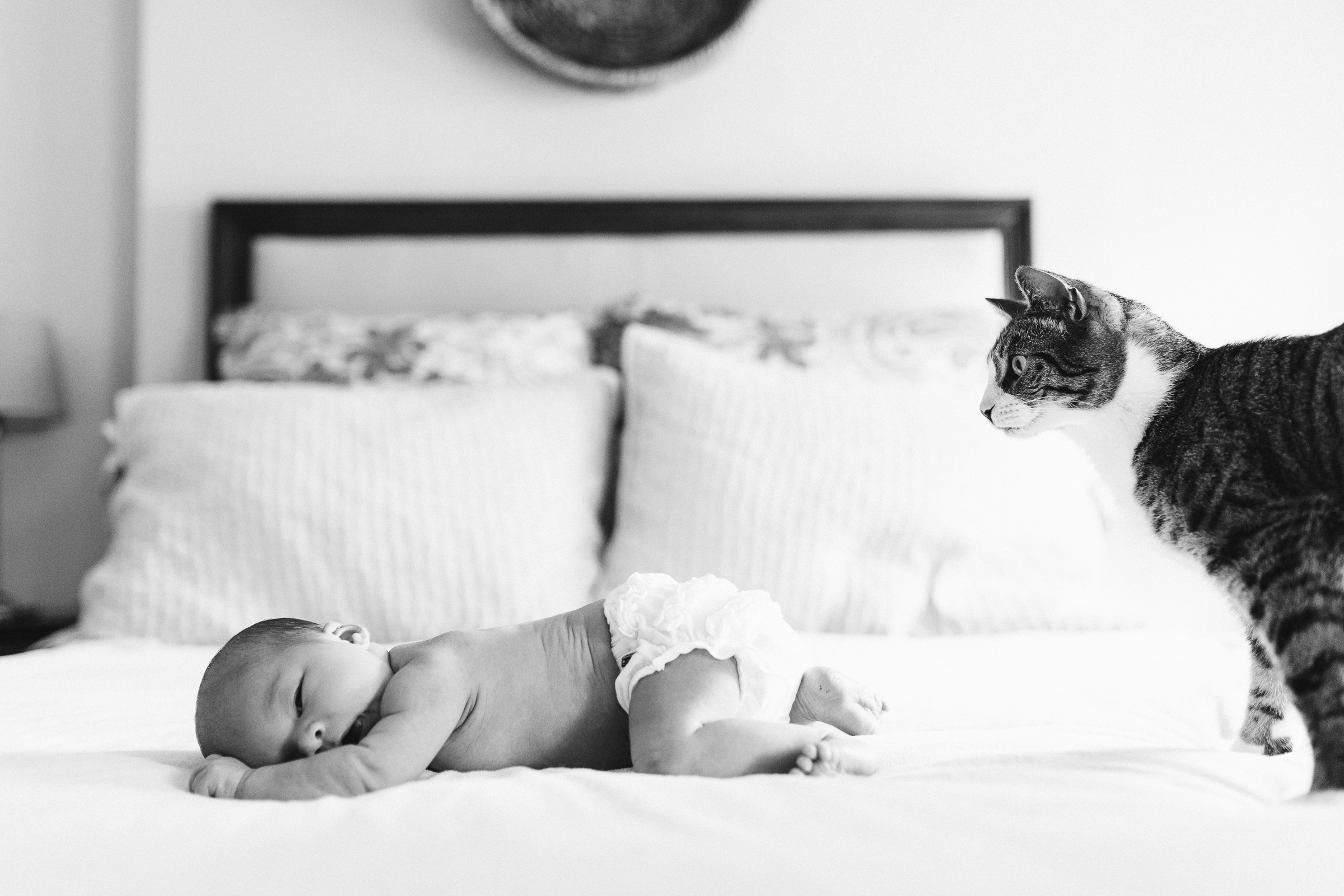 brooklyn-newborn-photographer-6.jpg
