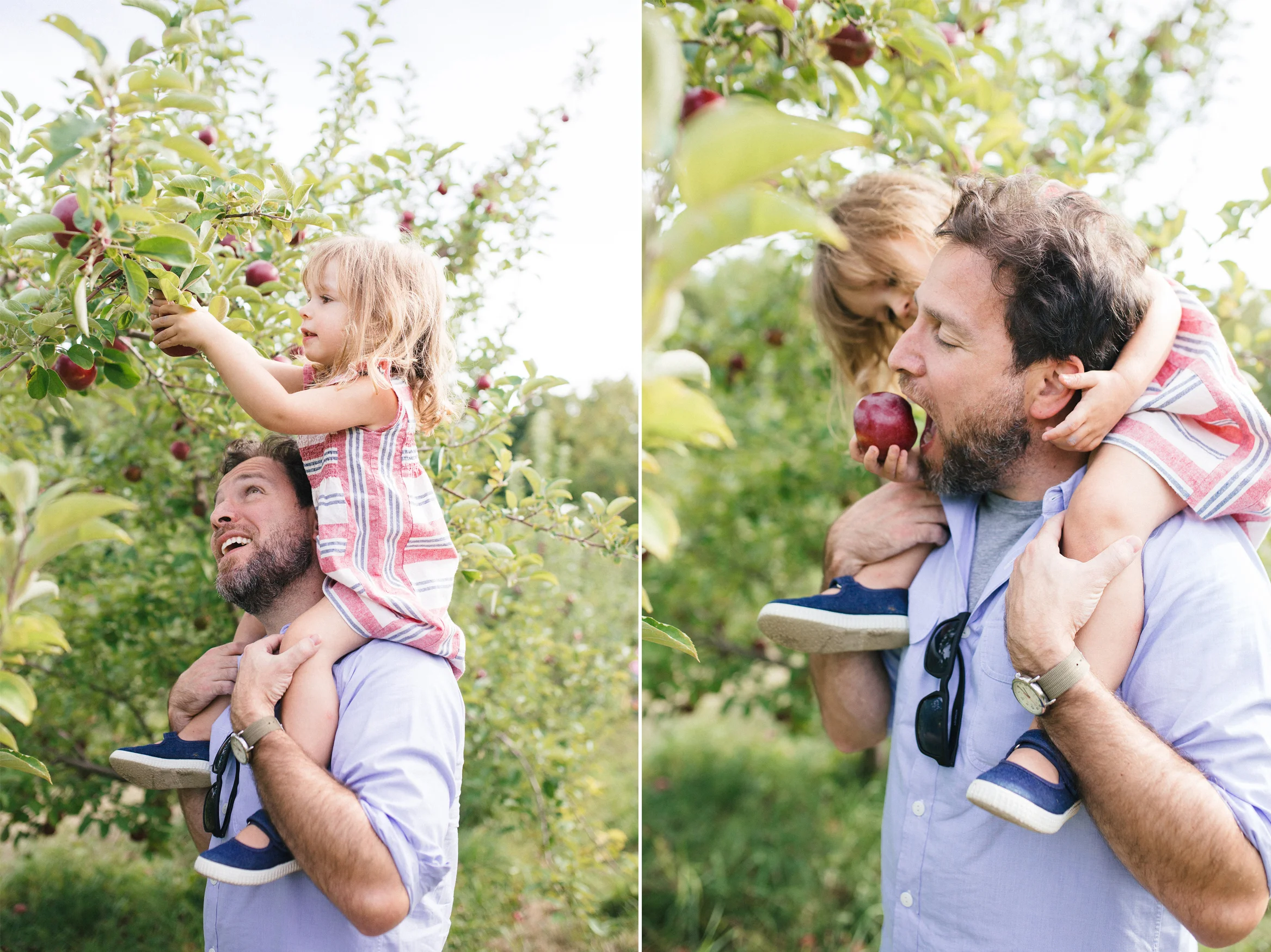 brooklyn-family-photographer_apple-picking-3.jpg