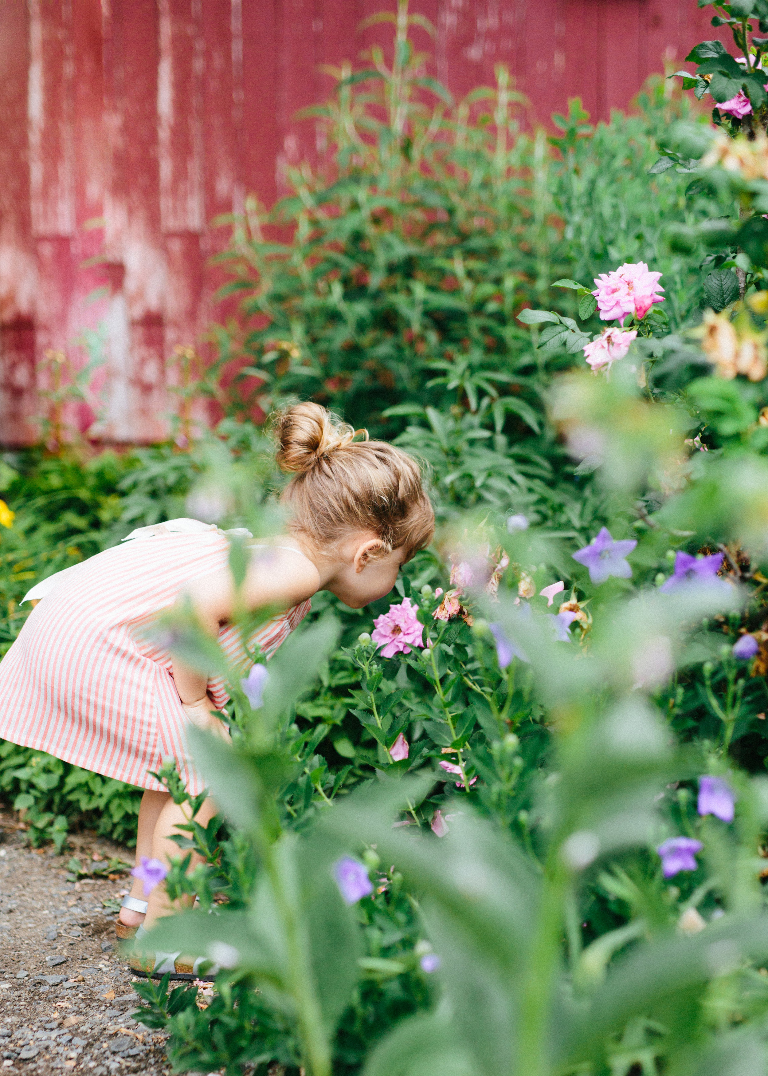 cami_muscoot-farm_westchester_new-york_child-photographer-6.jpg