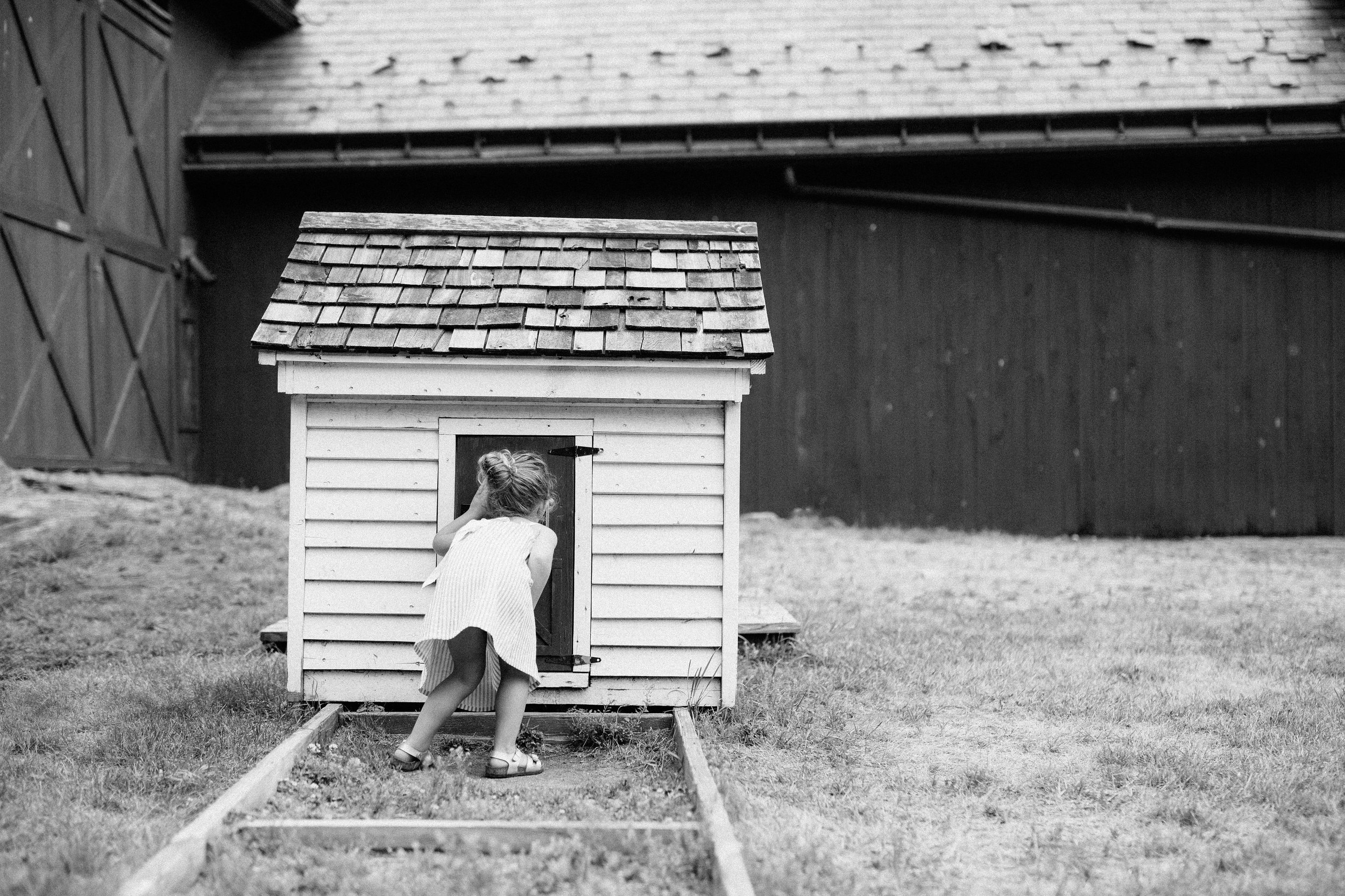 cami_muscoot-farm_westchester_new-york_child-photographer-13.jpg