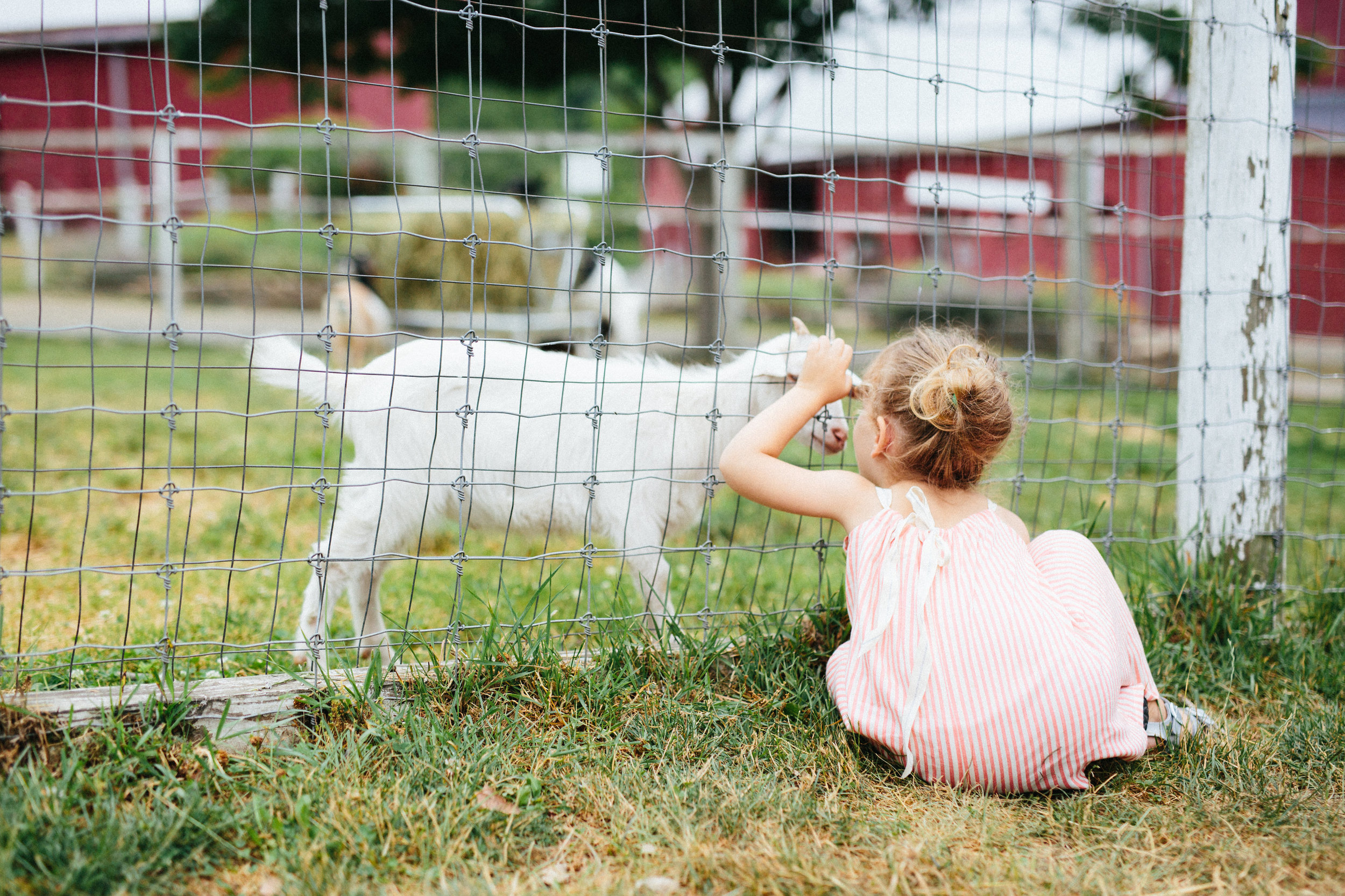 cami_muscoot-farm_westchester_new-york_child-photographer-17.jpg