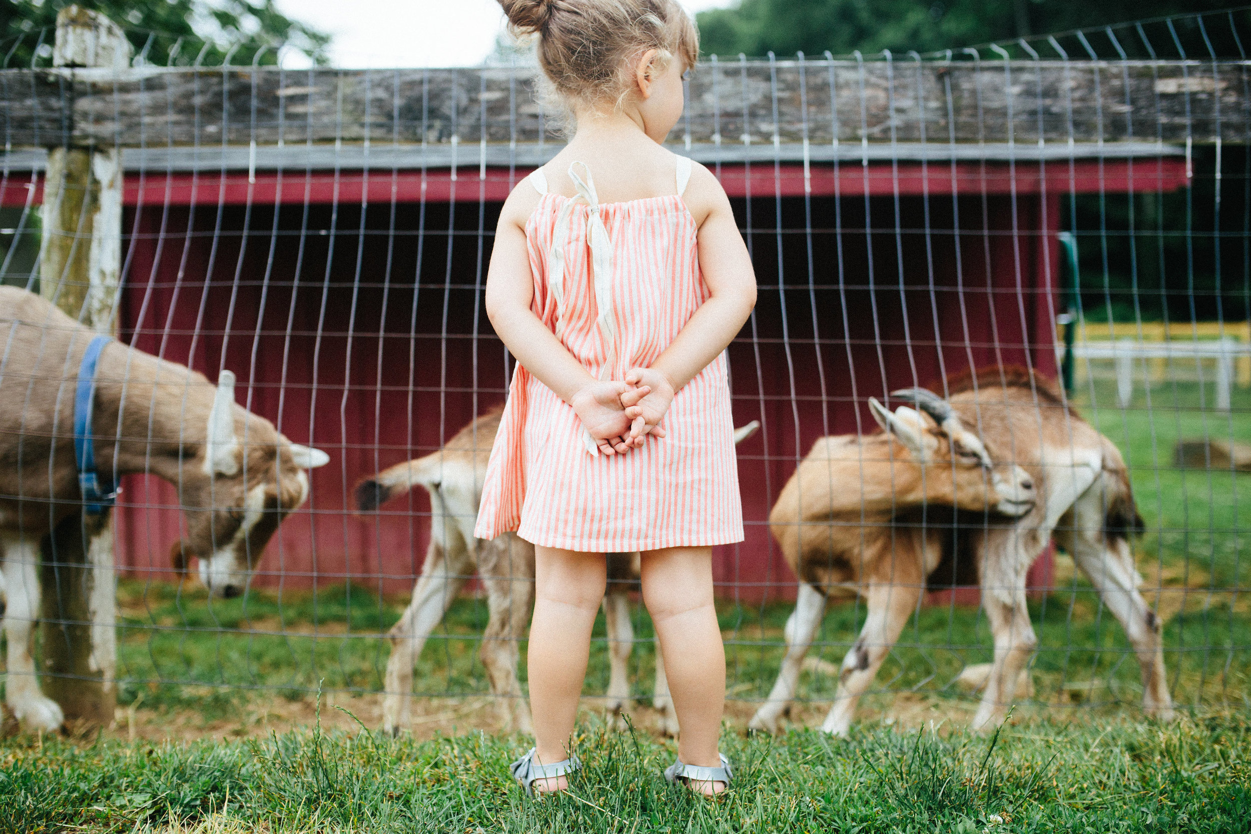 cami_muscoot-farm_westchester_new-york_child-photographer-29.jpg