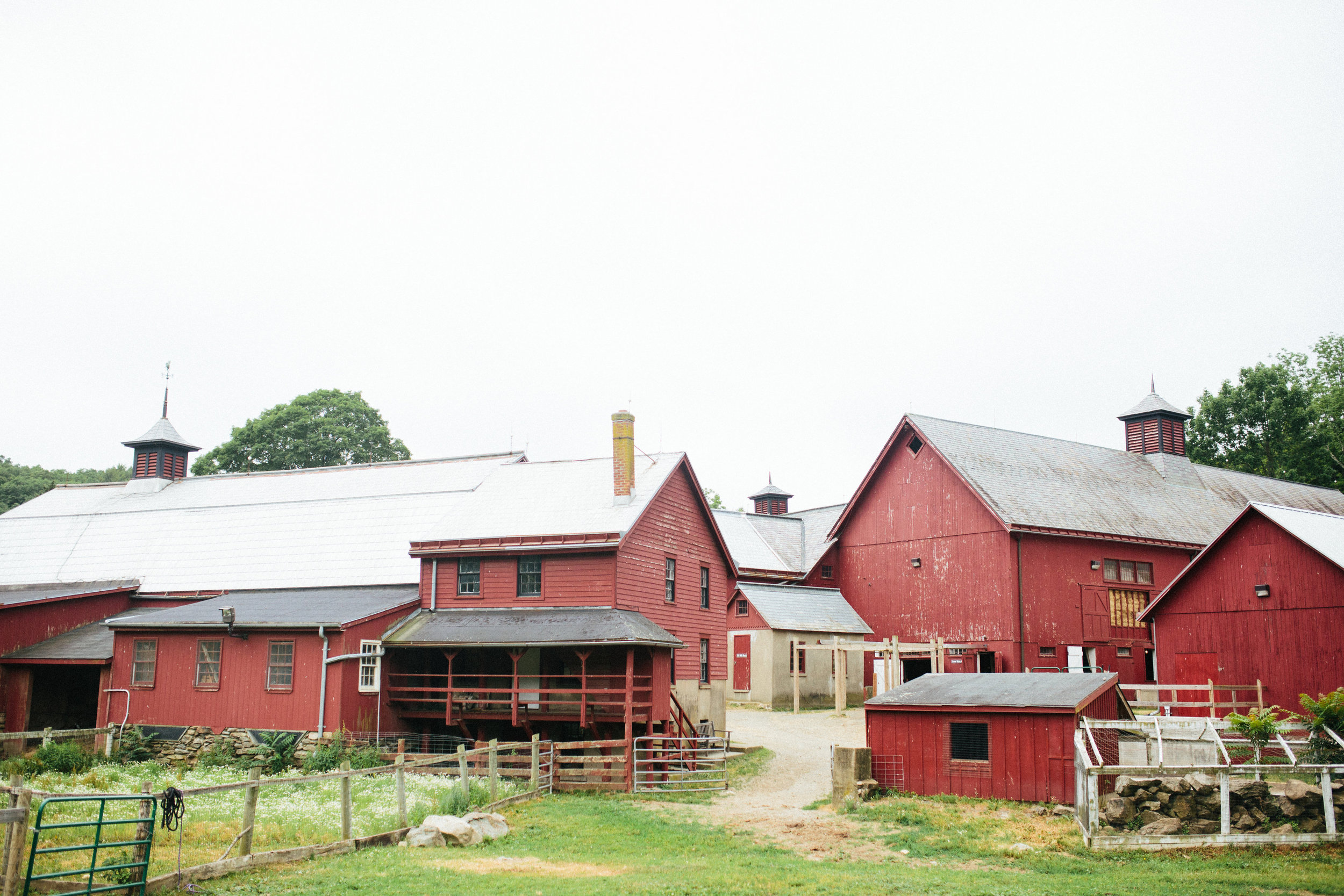 cami_muscoot-farm_westchester_new-york_child-photographer-27 (1).jpg