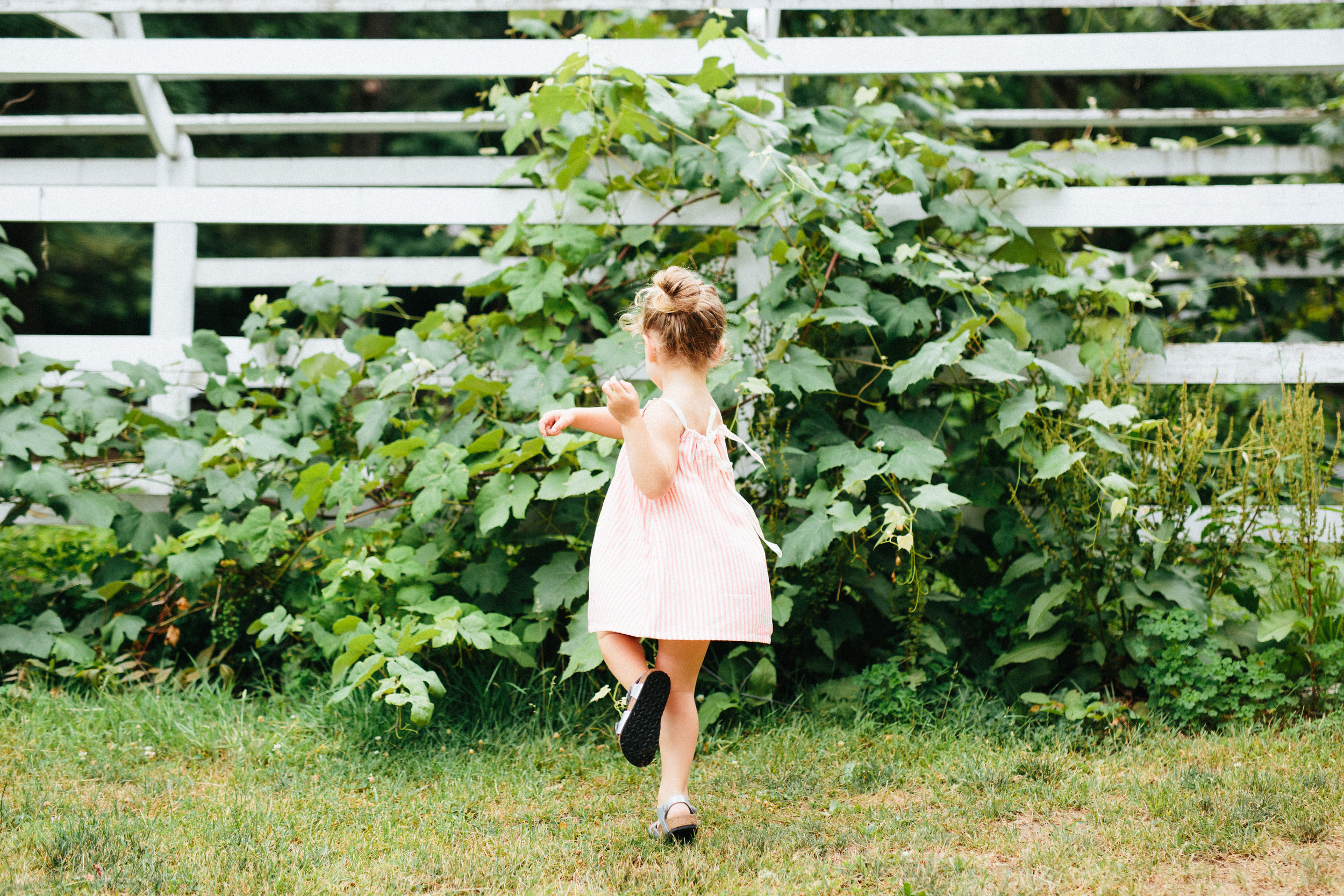 cami_muscoot-farm_westchester_new-york_child-photographer-33.jpg