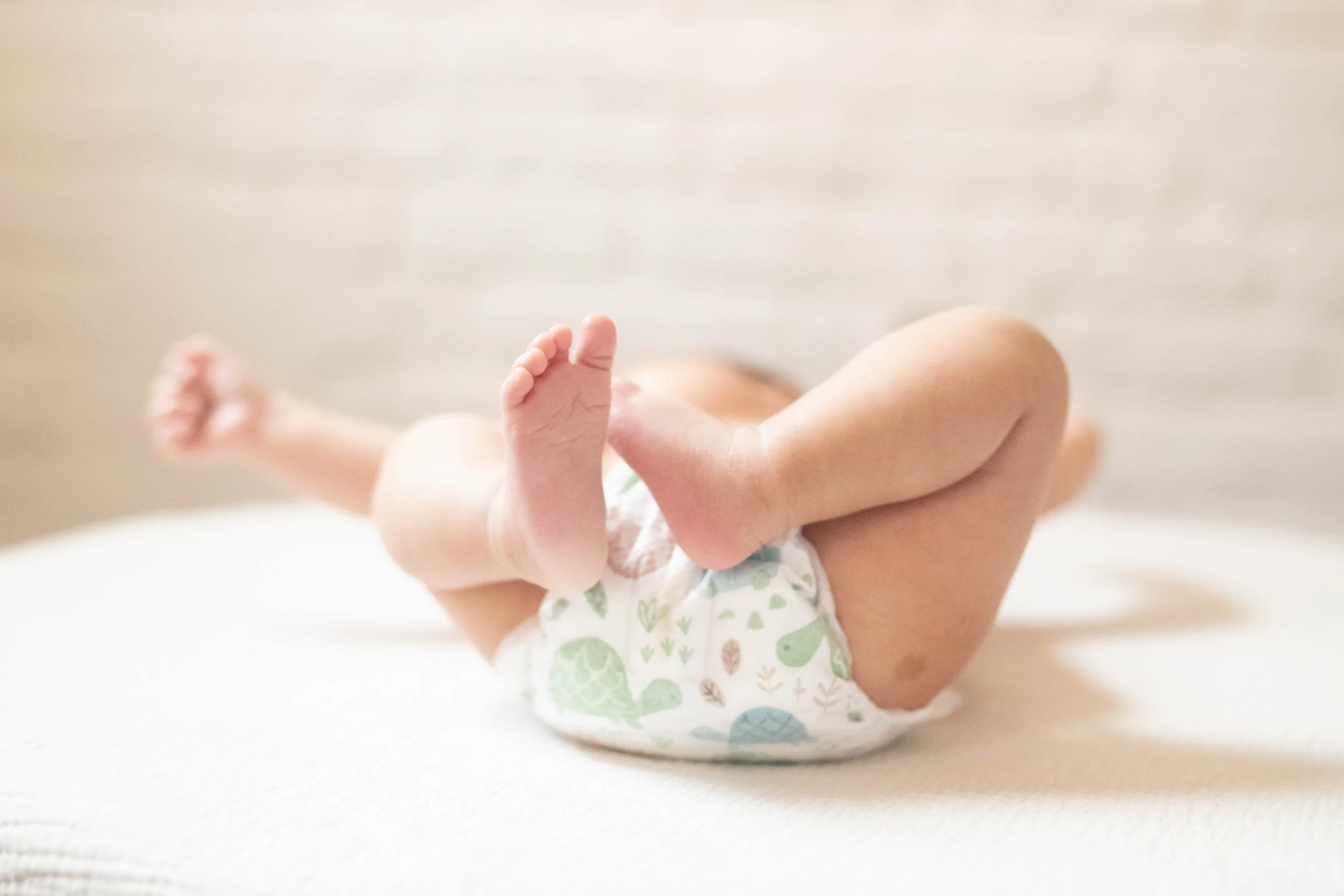 Studio NB Page-2551.jpg