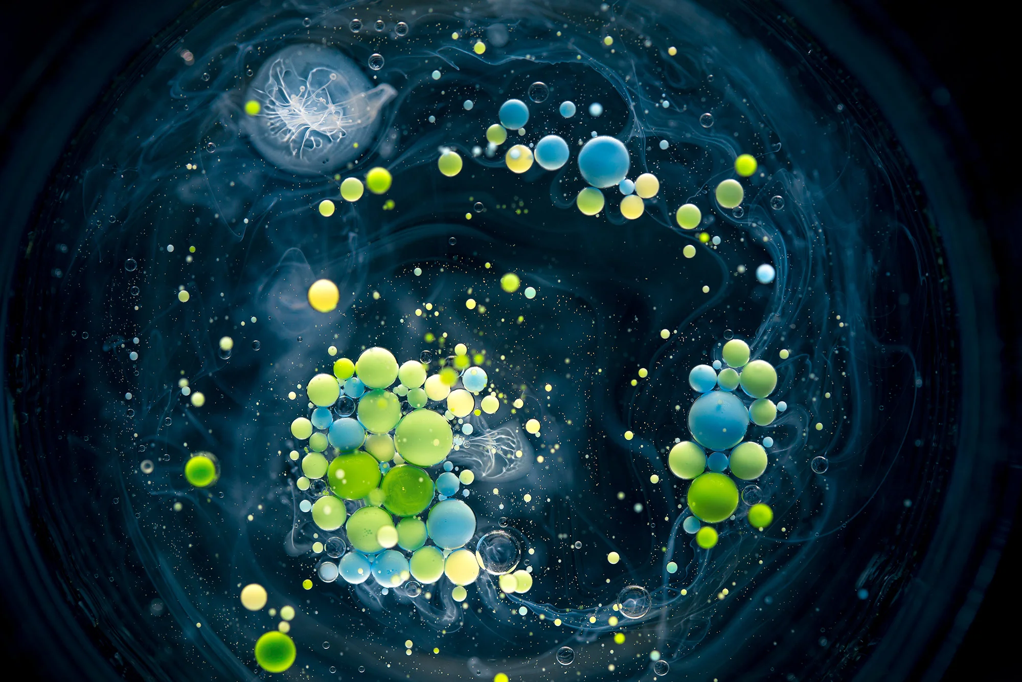 EJBowers_Synthesis-3.jpg