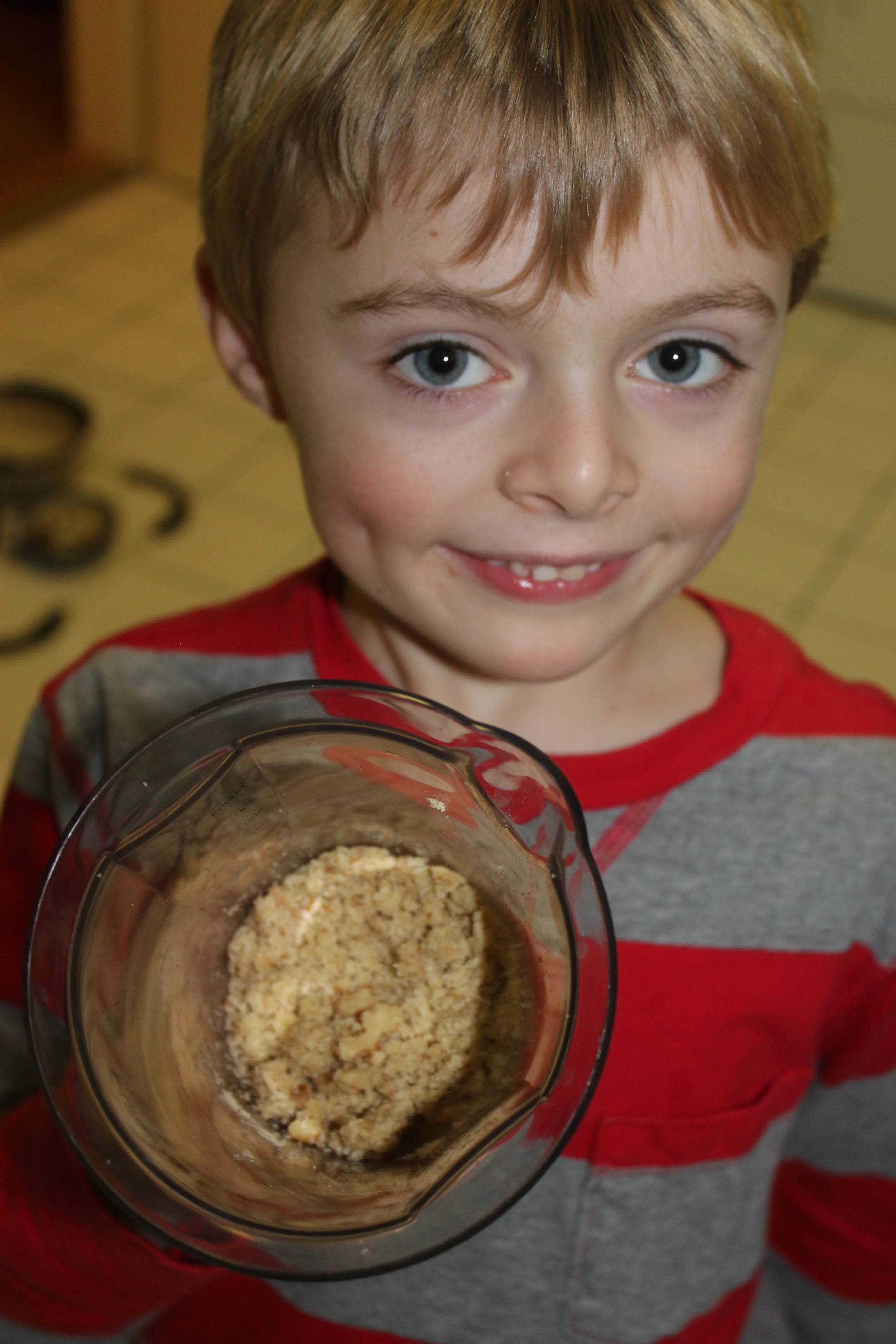 Close up of our ground walnuts- not totally appetizing in picture, but I assure you its Walnut-tastic!