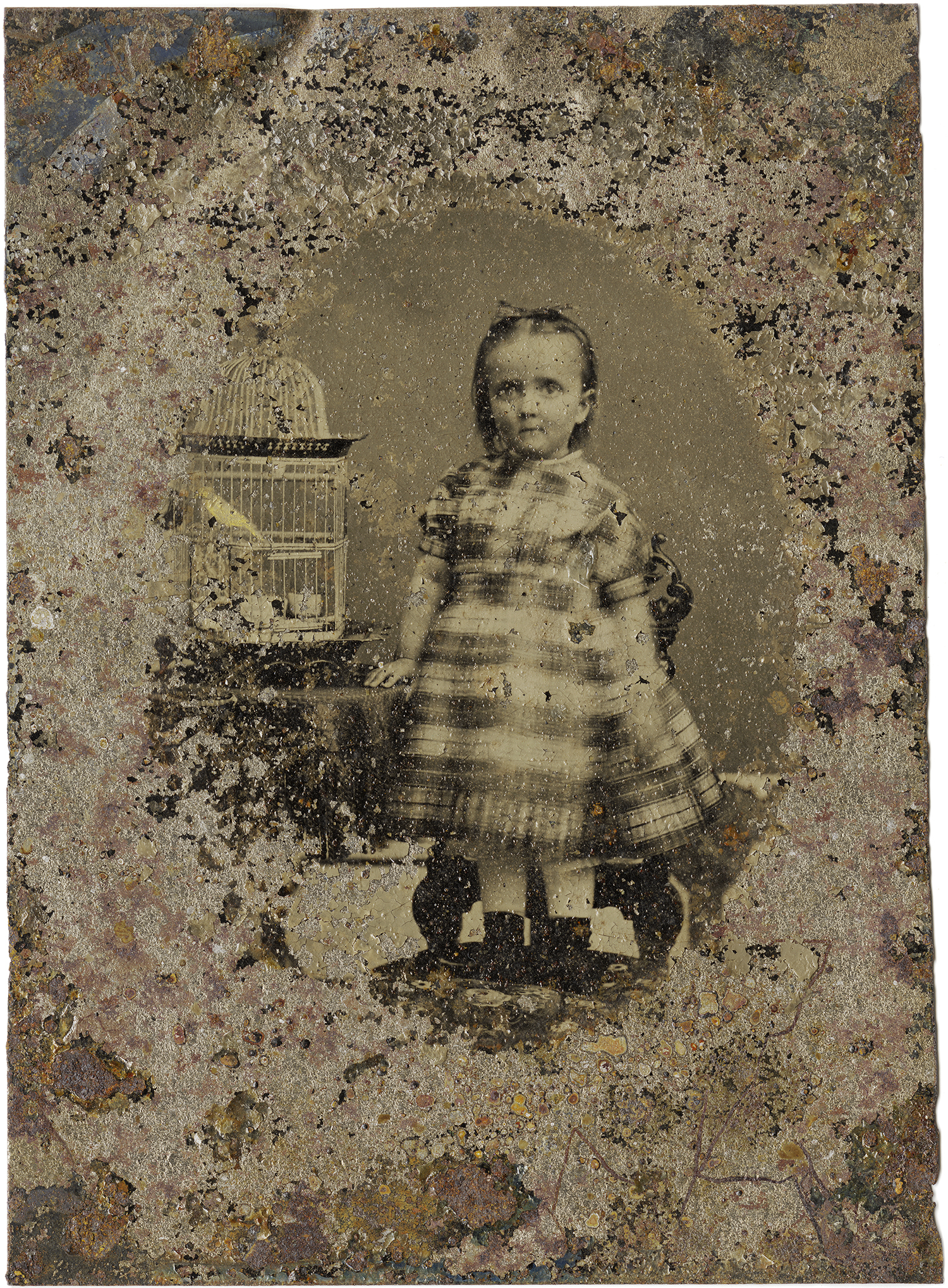 Little Girl with Birdcage, 2011 - LR12123