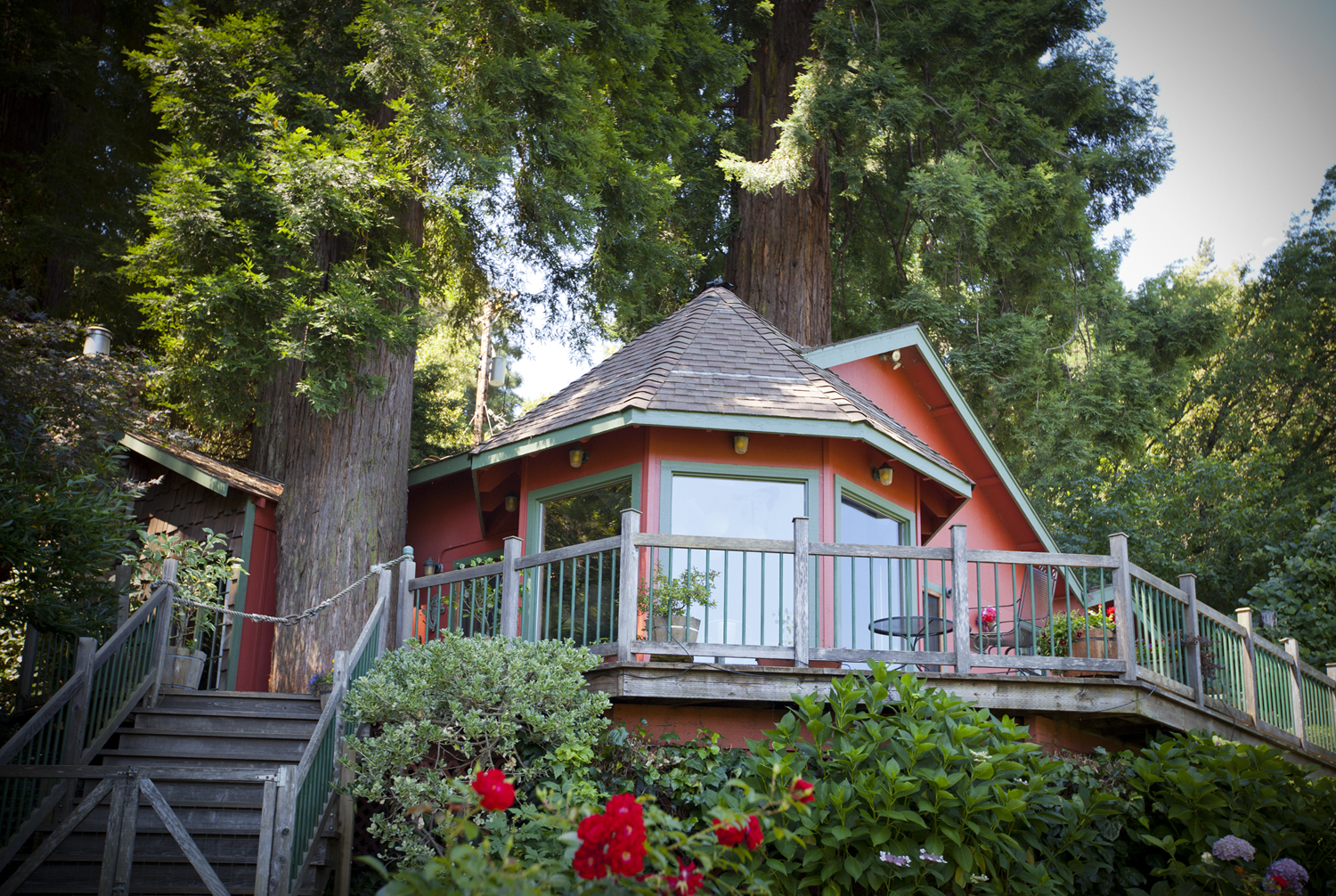 The house viewed fron the river ; nestled in a grove of Redwoods.