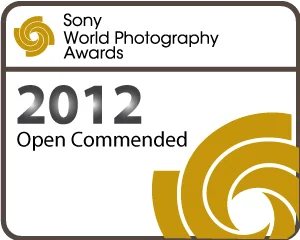 Commended - Sony Awards.jpg