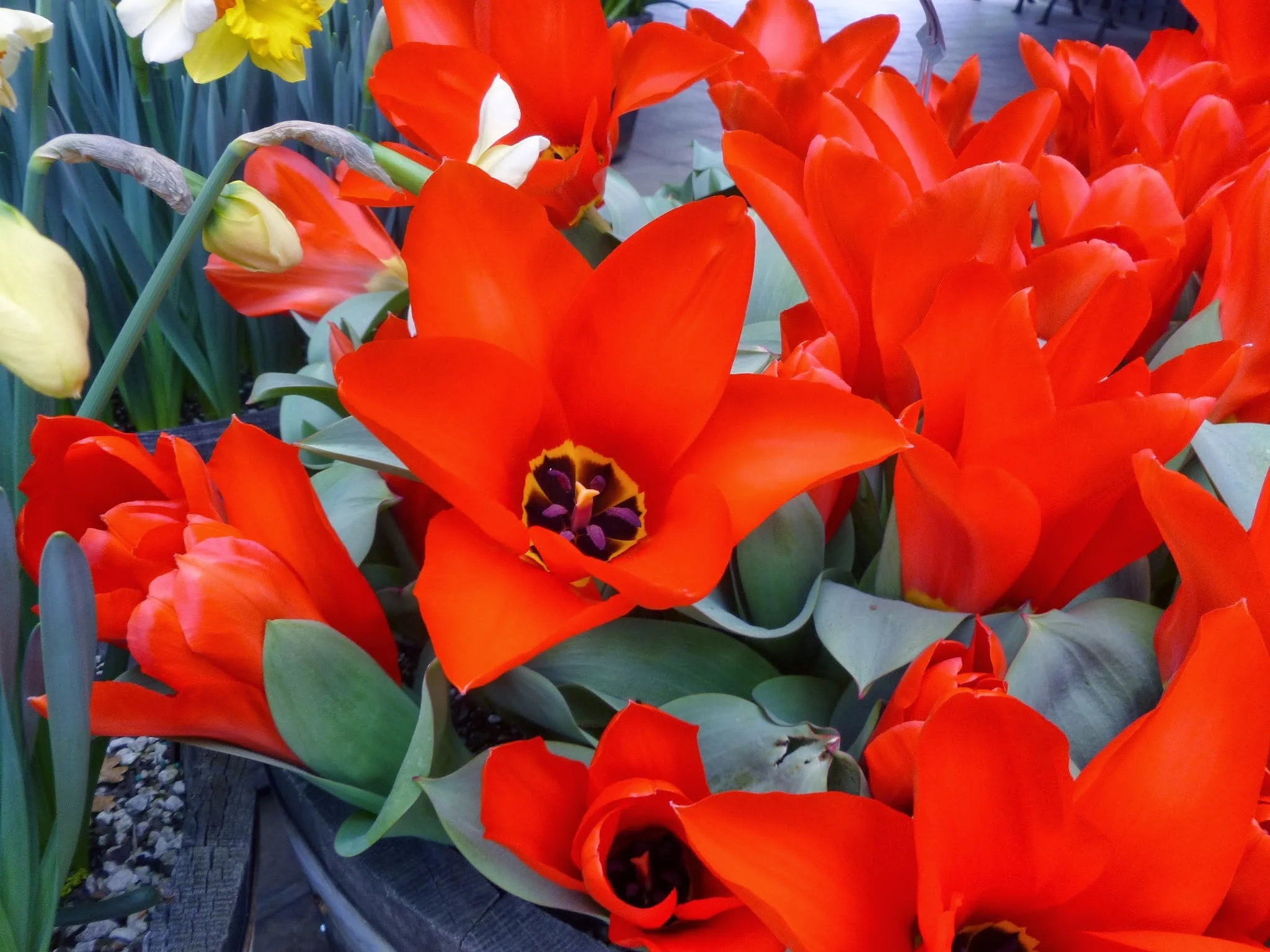 Day 89 - John 21  and  Revelation 21-22