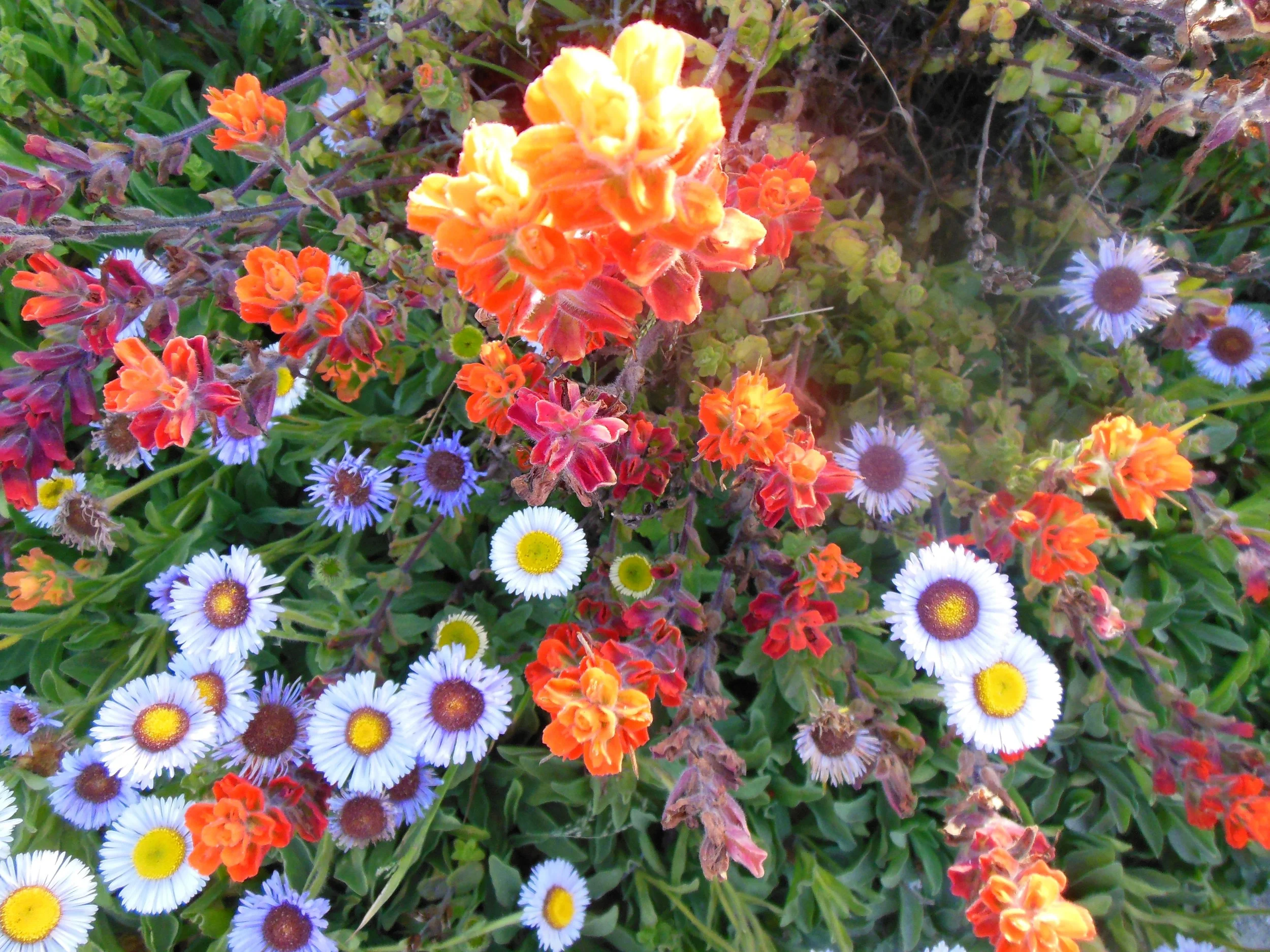 Day 86 - John 18  and  Revelation 15-16