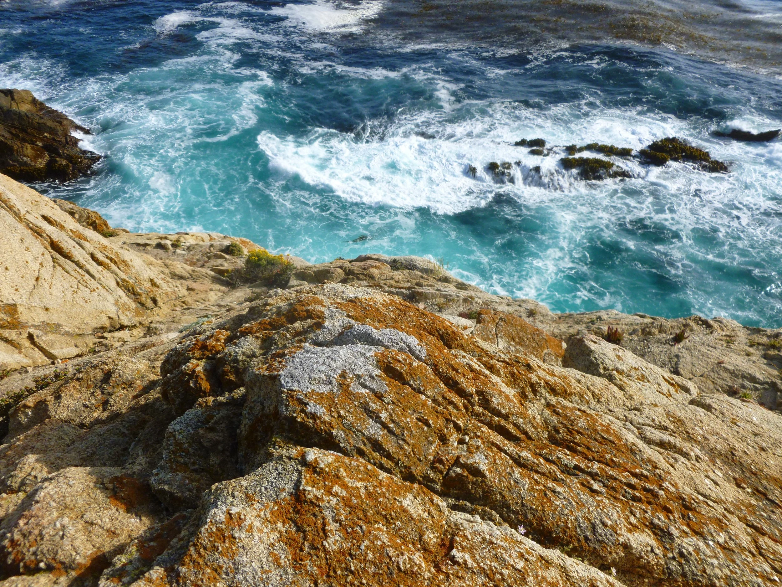 Day 85 - John 17  and  Revelation 13-14