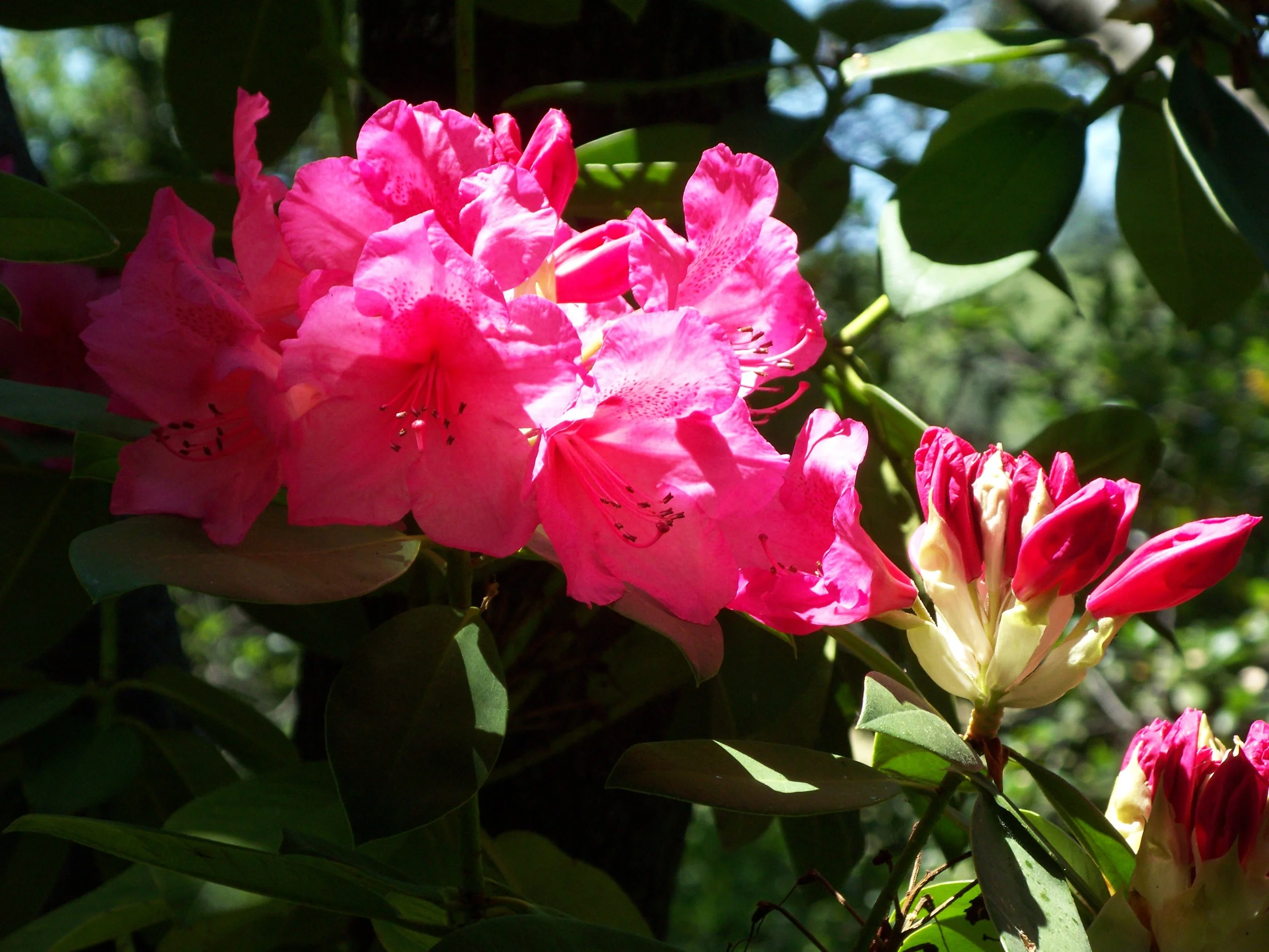 Day 84 - John 16  and  Revelation 11-12