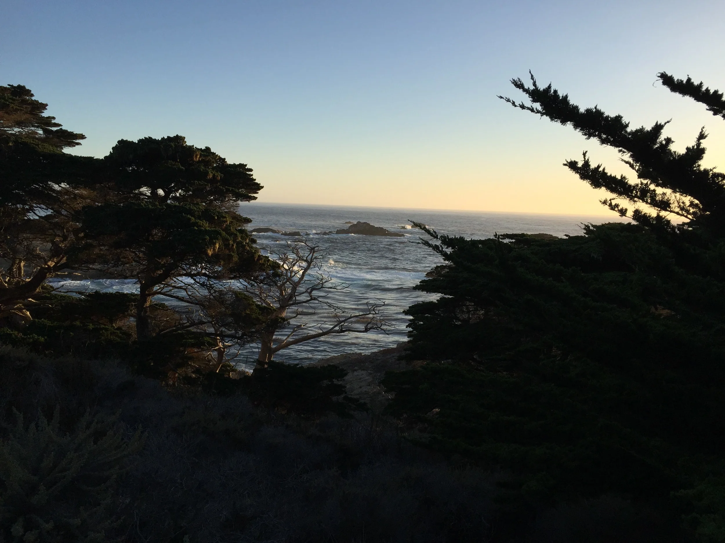 Day 81 - John 13  and  Revelation 5-6