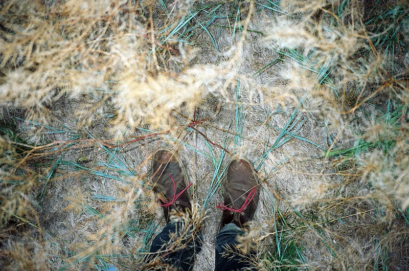 On &amp; in the plains. 