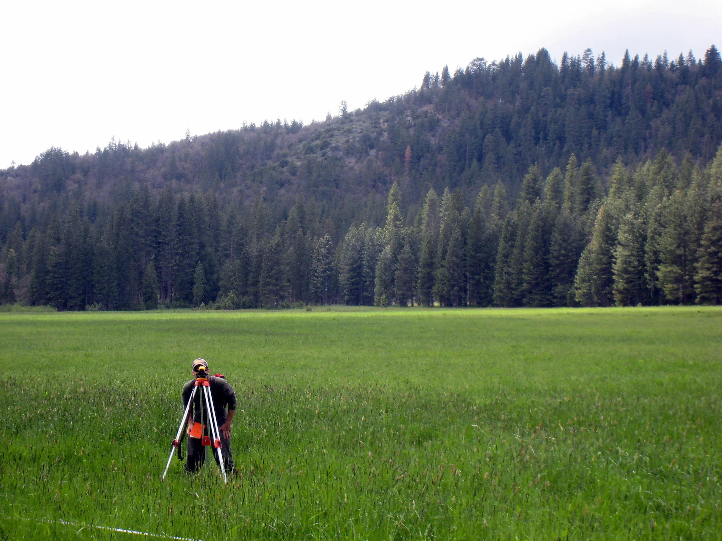 Bear Valley Meadow Restoration, American Rivers