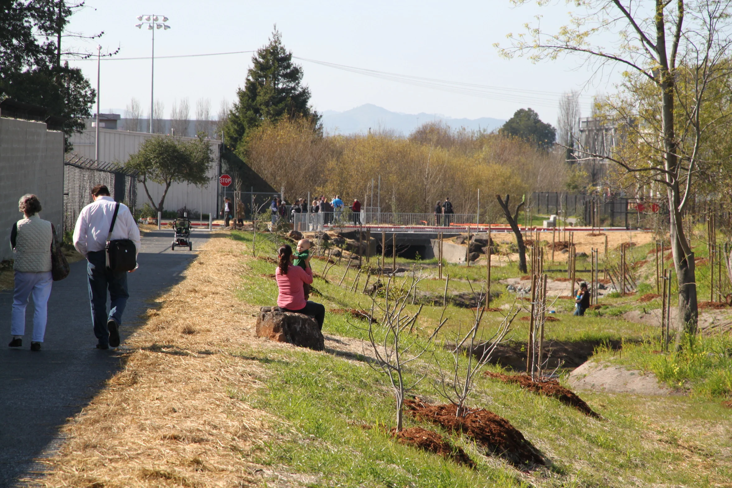 Codornices Creek Trail,  City of Albany