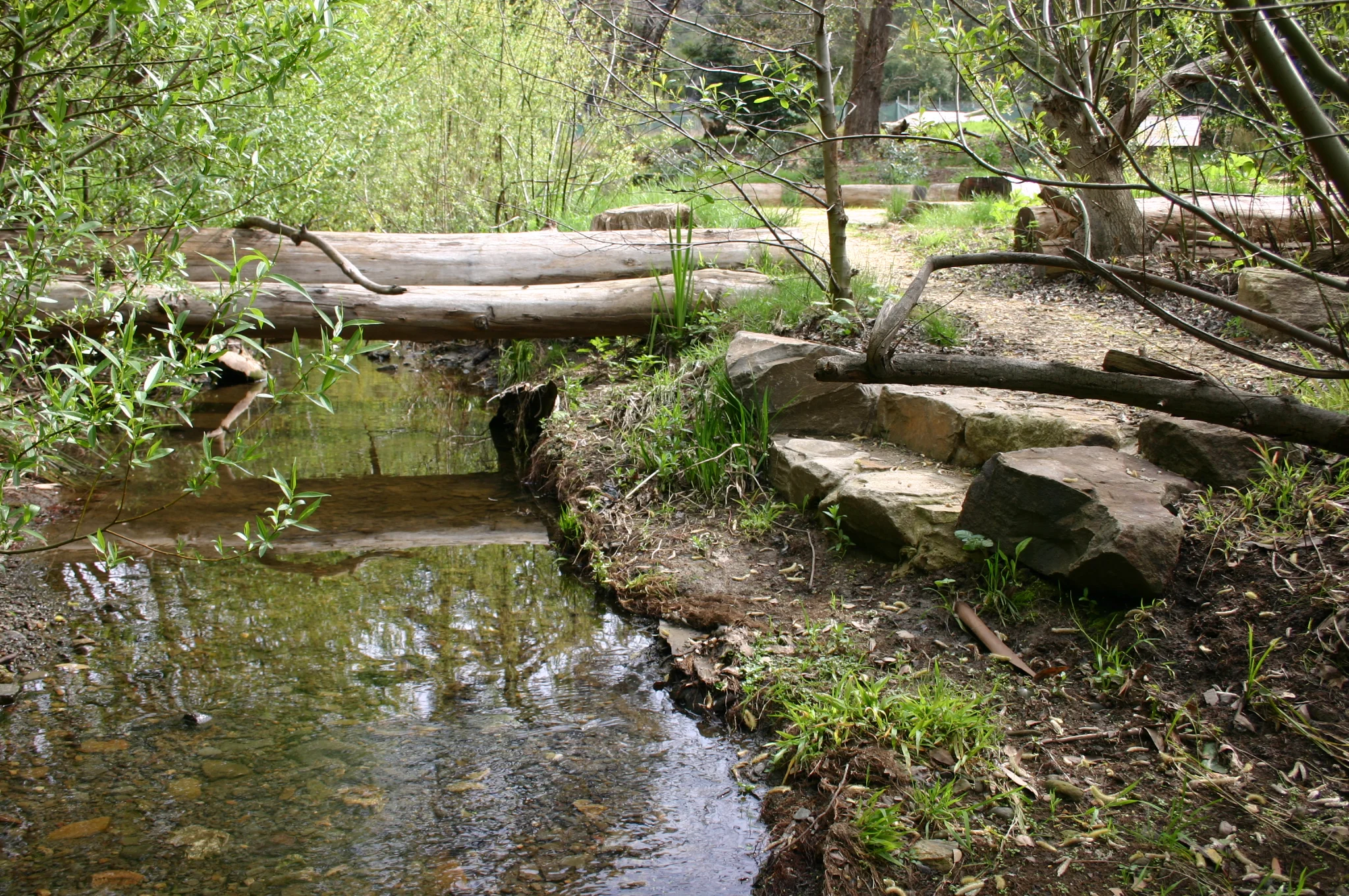 Arroyo Viejo at Knowland Park, City of Oakland