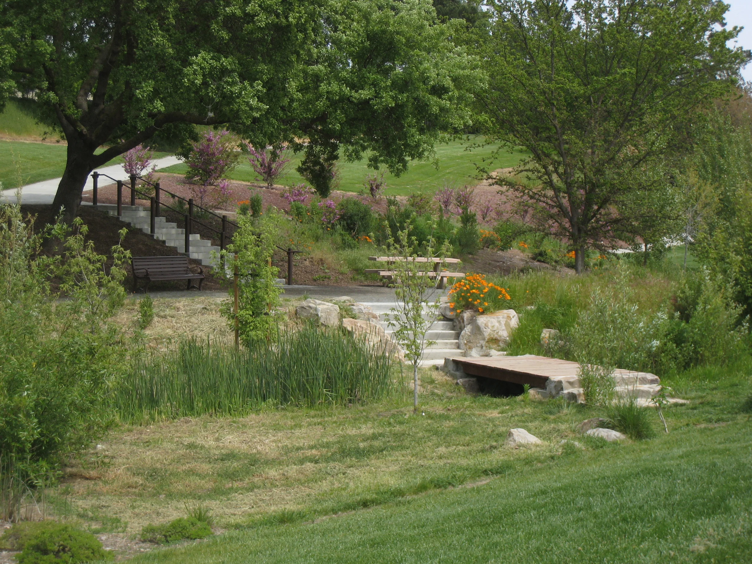 Kottinger Creek Park Improvements, City of Pleasanton