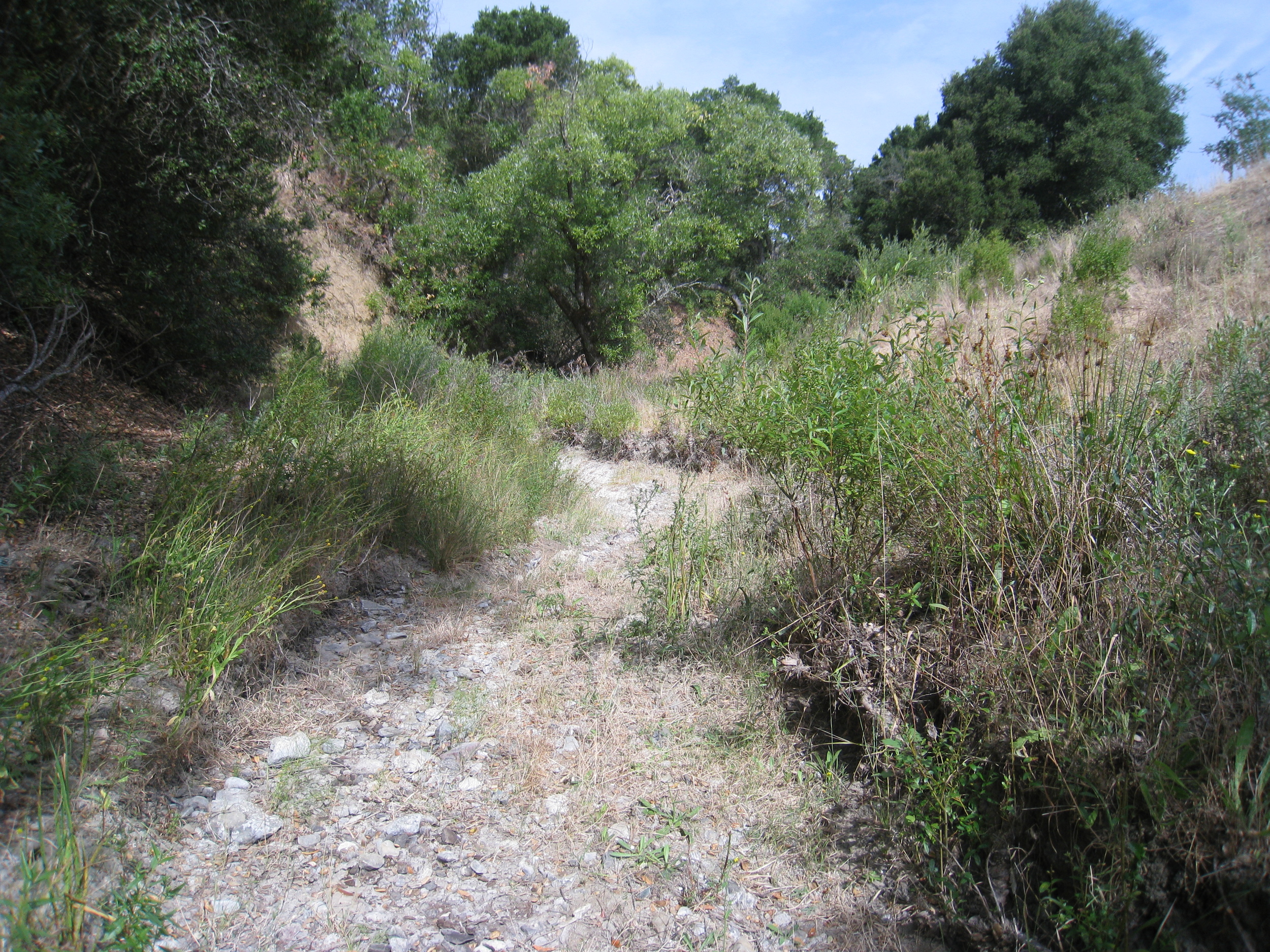 Fernandez Ranch, John Muir Land Trust
