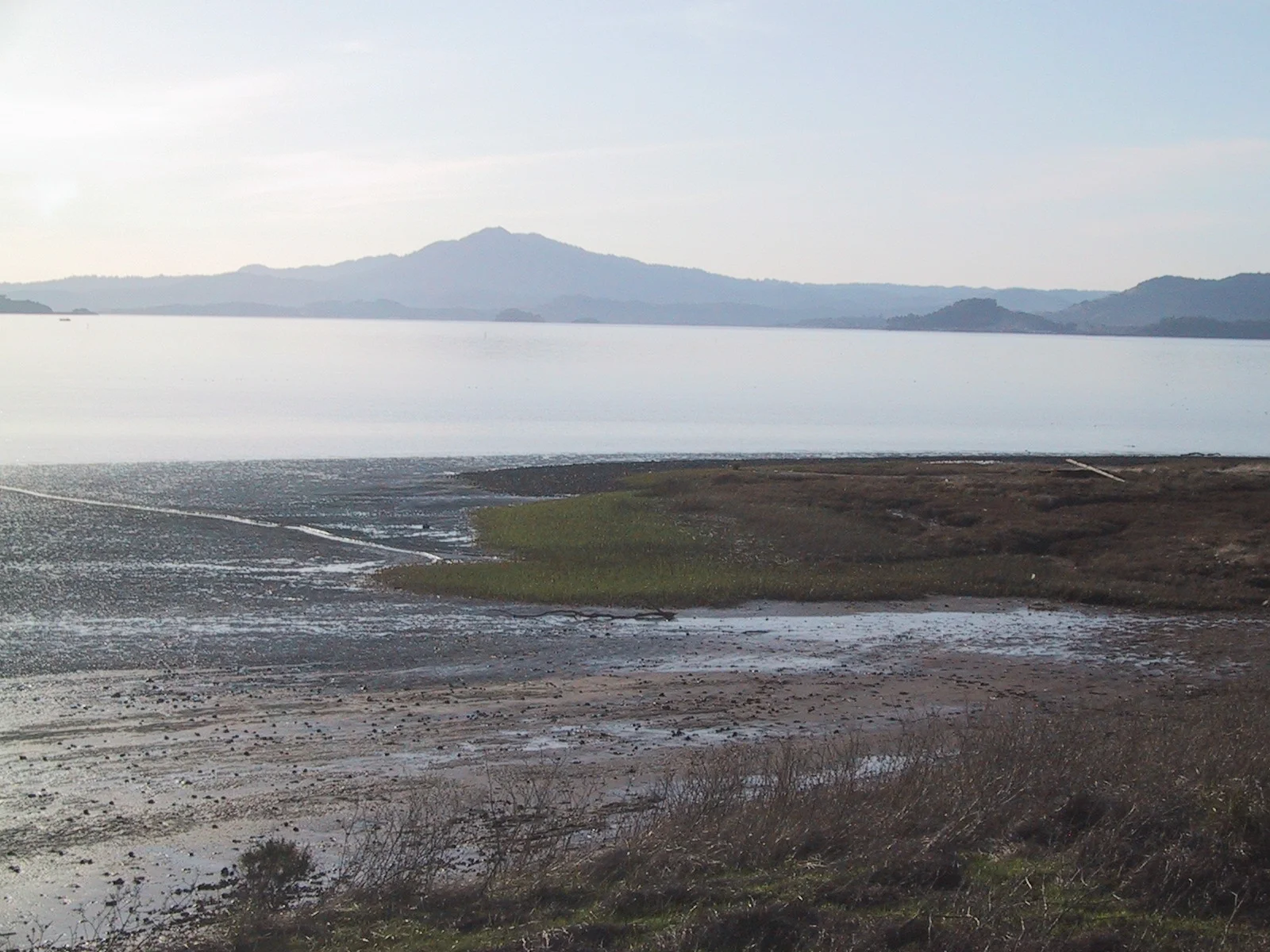 North Richmond Shoreline Vision Plan, Natural Heritage Institute