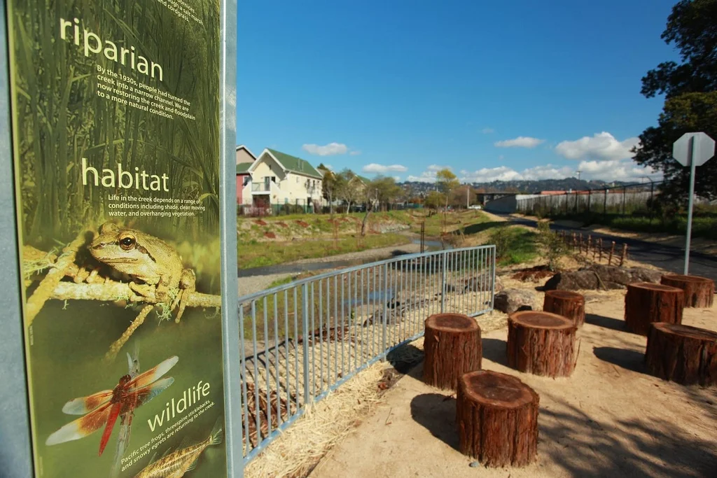 Codornices Creek Greenway, City of Albany