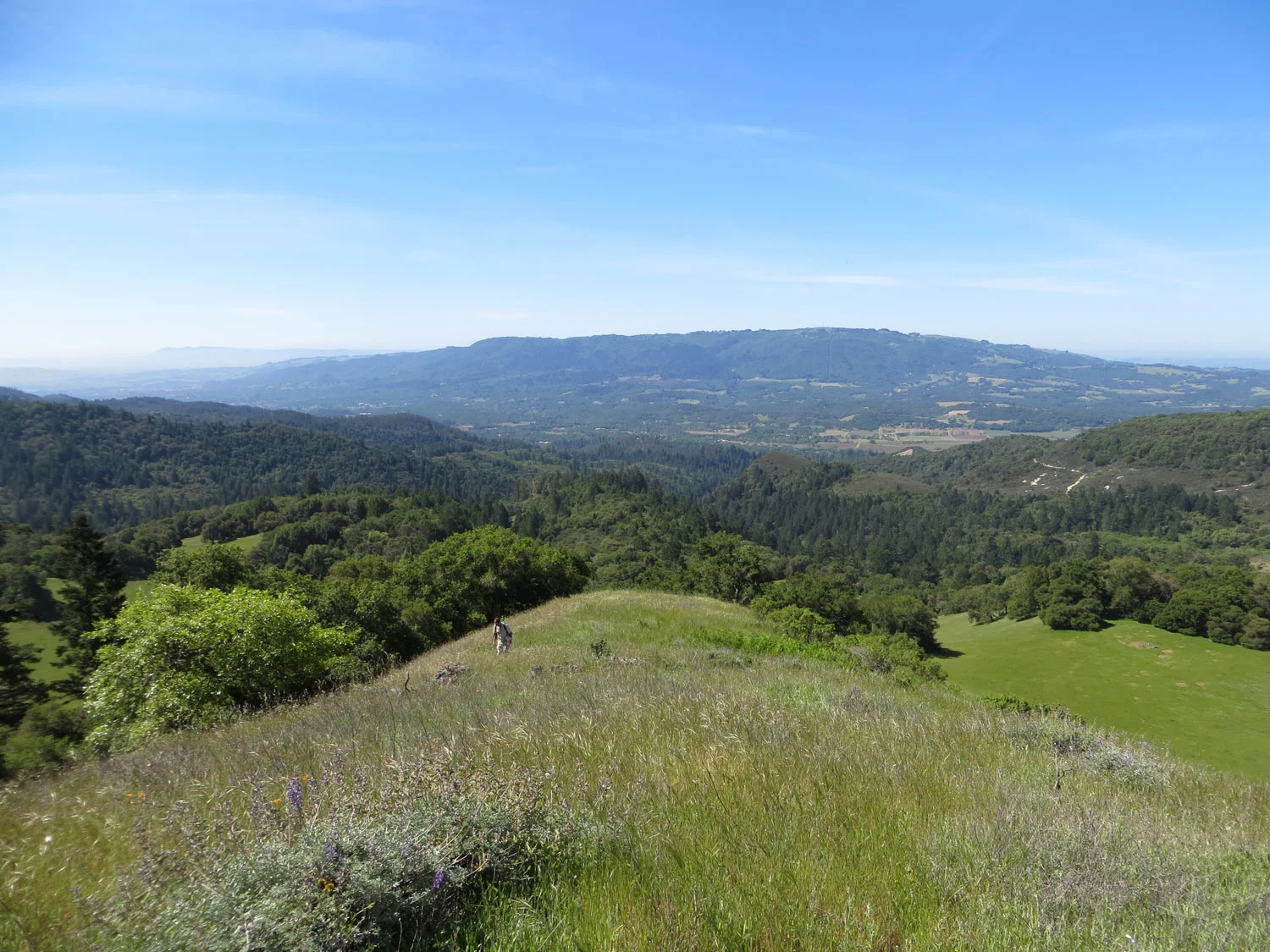 Calabazas Creek Open Space Preserve, Sonoma County Agricultural Preservation and Open Space District