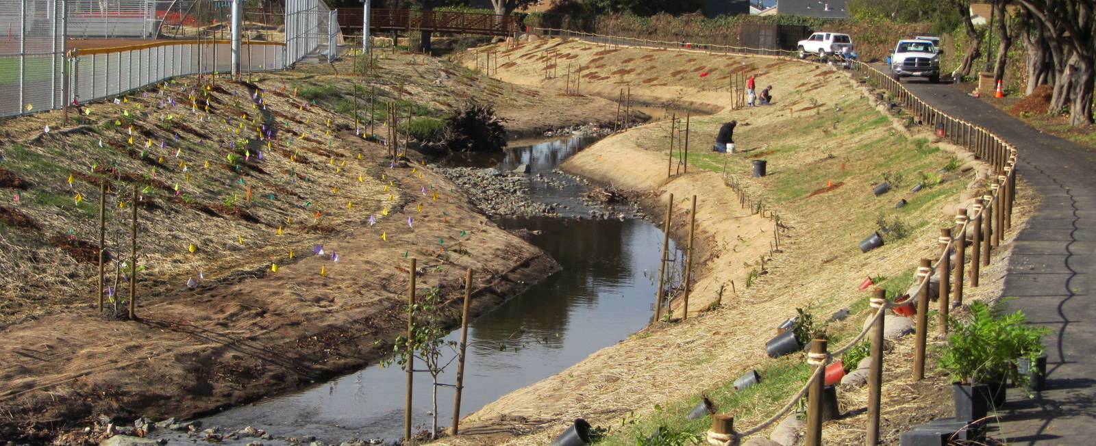 Daylighting Wildcat Creek at Davis Park, City of San Pablo