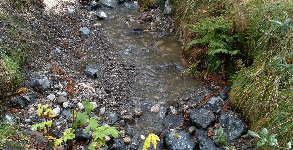 Wildcat Creek at Tilden Park Regional Golf Course, East Bay Regional Park District