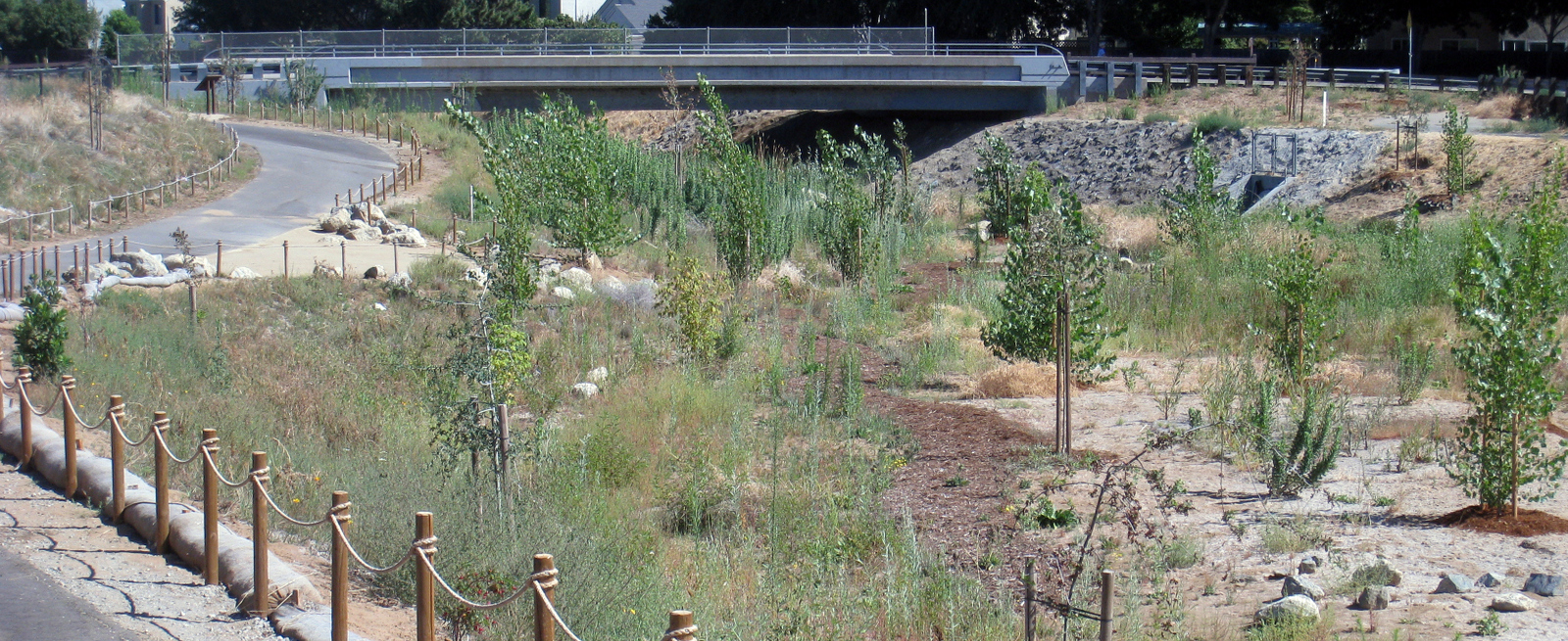 Marsh Creek Restoration, City of Oakley