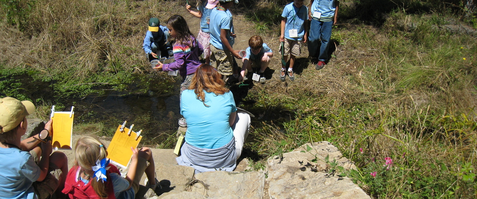 Arroyo Viejo at Knowland Park, City of Oakland