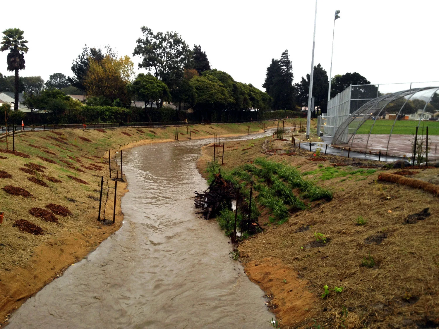 Wildcat Creek at Davis Park, City of San Pablo