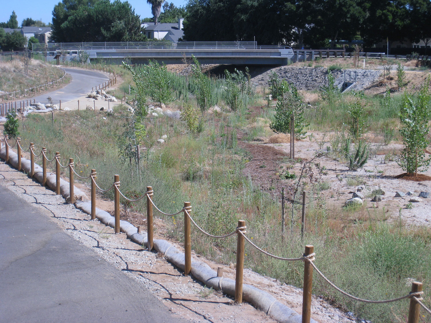 Marsh Creek Restoration at Creekside Park, City of Oakley