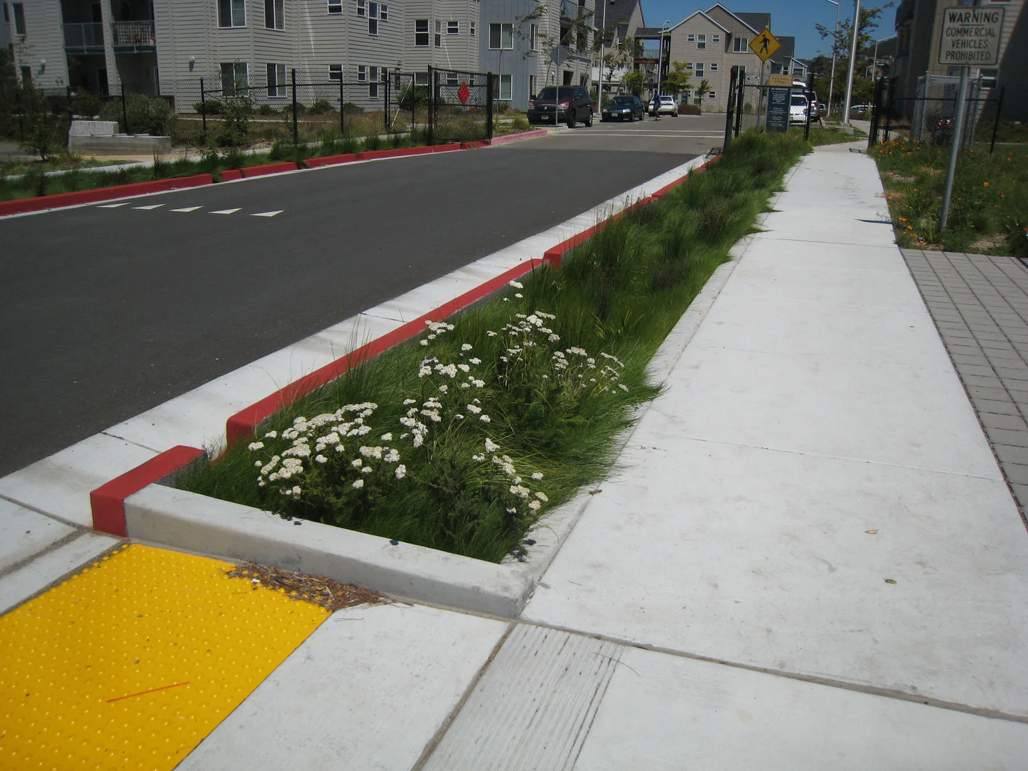 6th Street Rain Garden, City of Albany